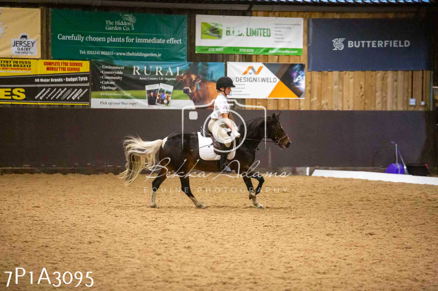 JHOYS 2023 - 7th Septemeber - Dressage