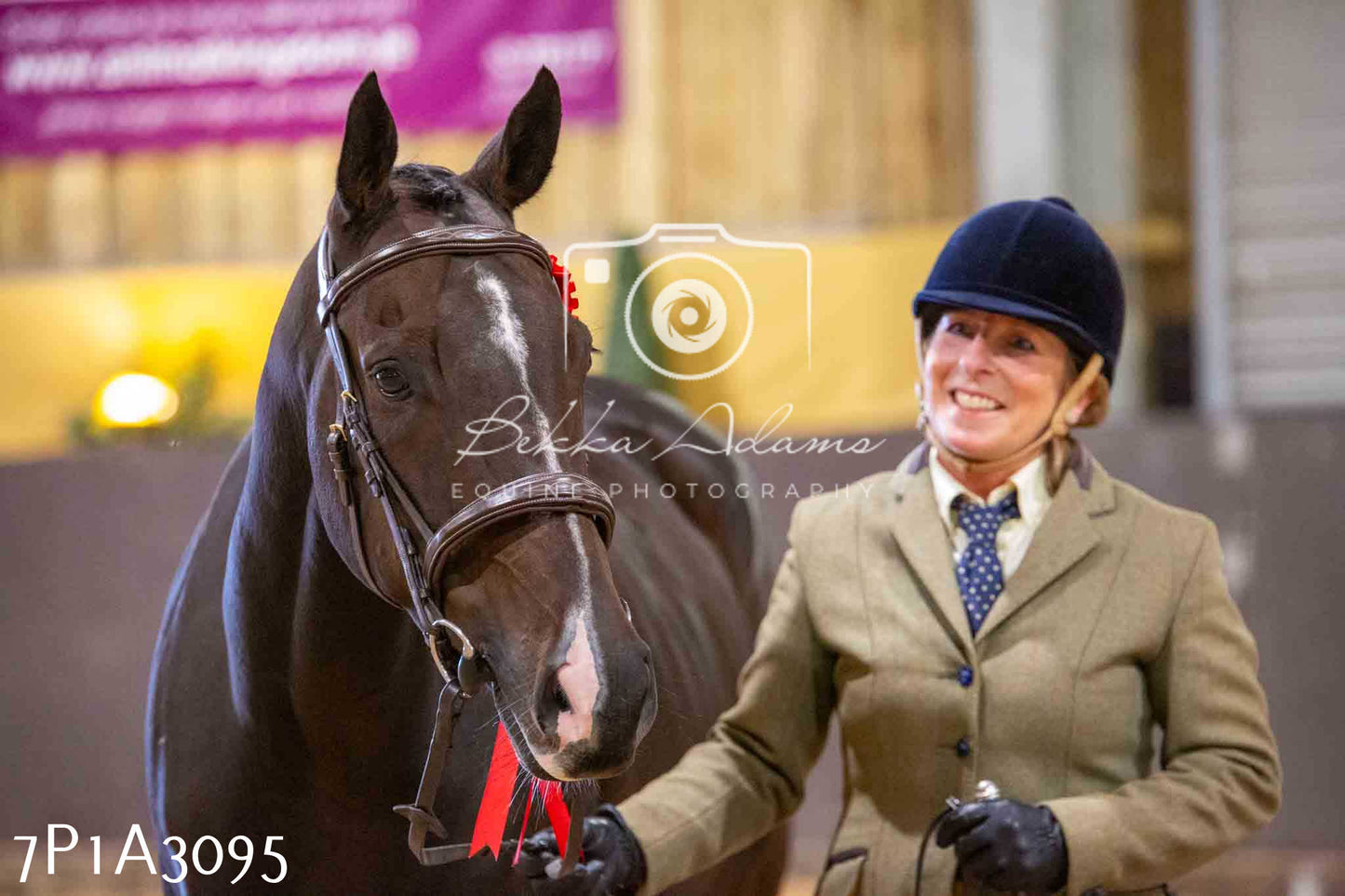 Home Farm Funshine Show 2024 - Inhand Showing 14th September