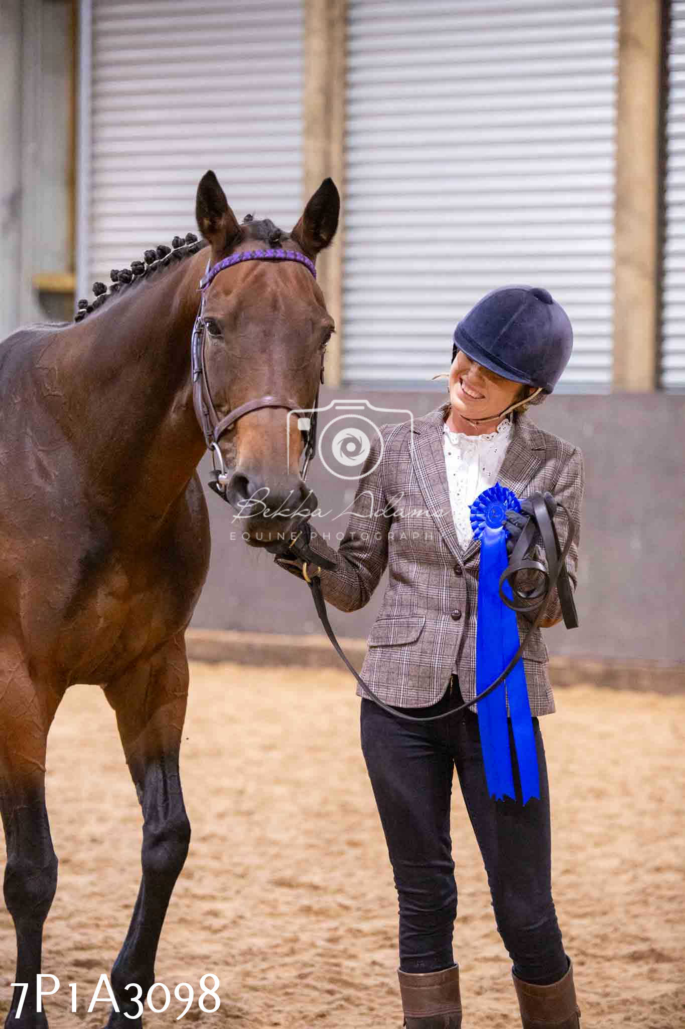 Home Farm Funshine Show 2024 - Inhand Showing 14th September
