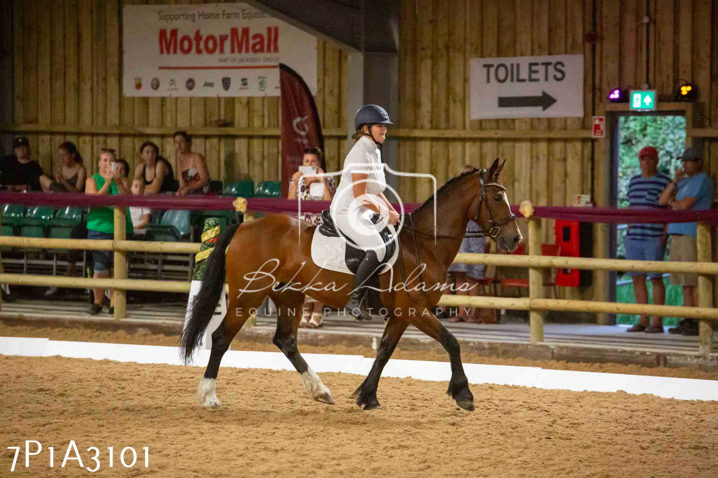 JHOYS 2023 - 7th Septemeber - Dressage