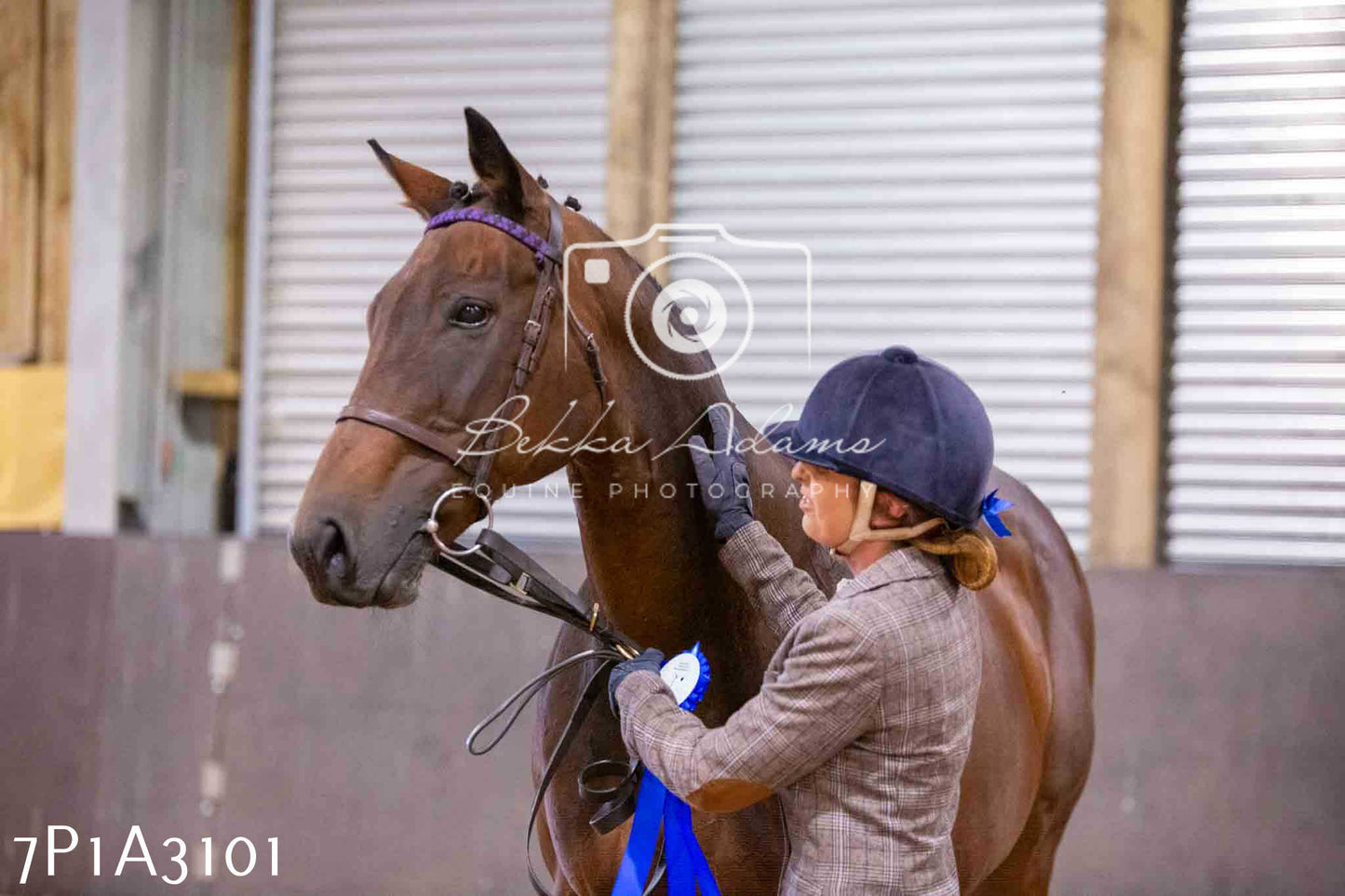Home Farm Funshine Show 2024 - Inhand Showing 14th September