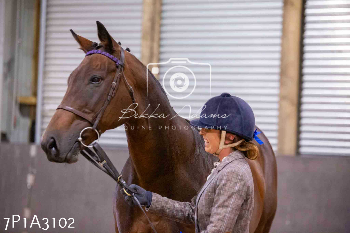 Home Farm Funshine Show 2024 - Inhand Showing 14th September