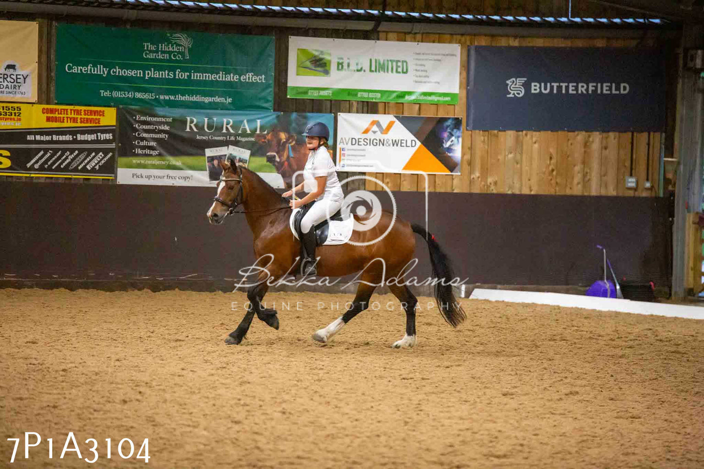 JHOYS 2023 - 7th Septemeber - Dressage