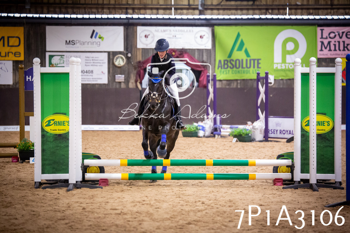 JHOYS 2025 - Junior Show Jumping - 21st September