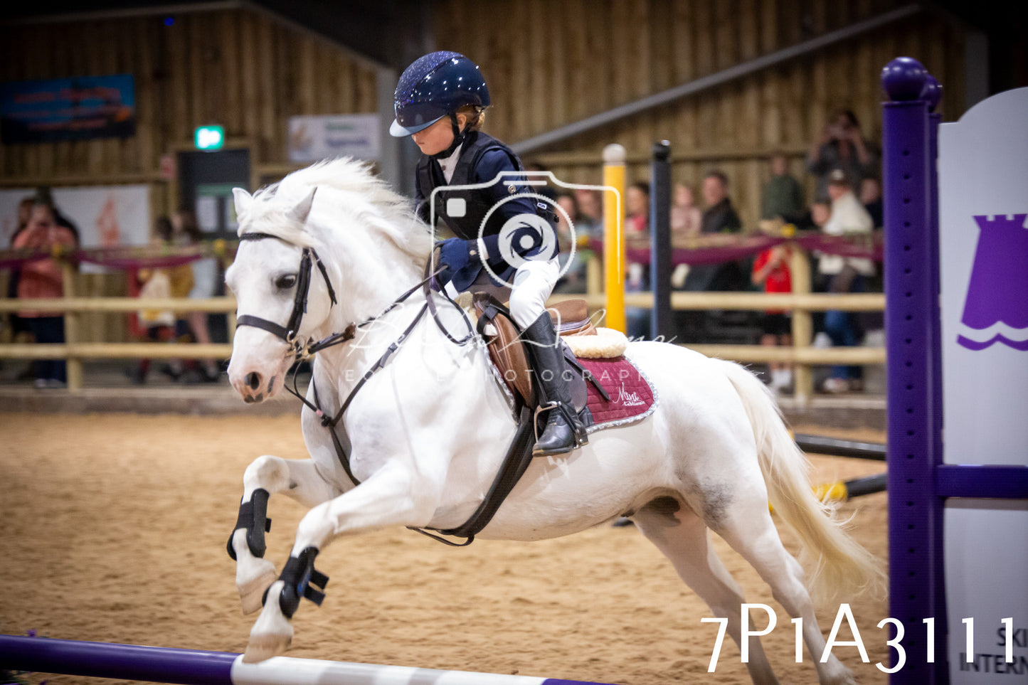 JHOYS 2025 - Junior Show Jumping - 21st September