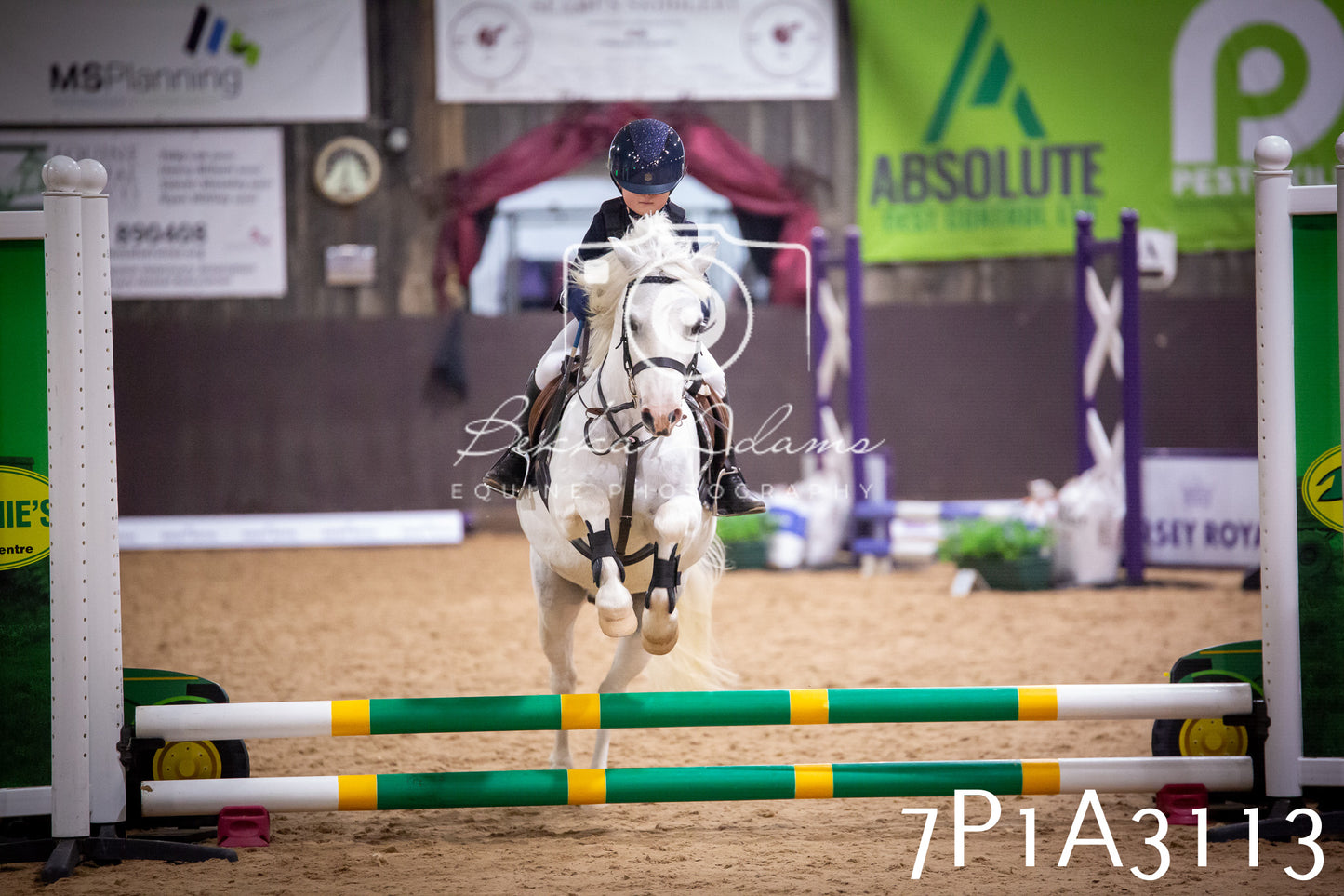 JHOYS 2025 - Junior Show Jumping - 21st September