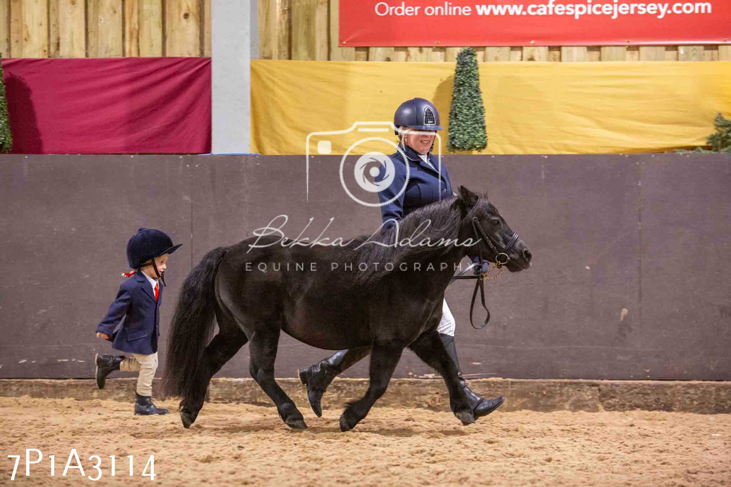 Home Farm Funshine Show 2024 - Inhand Showing 14th September