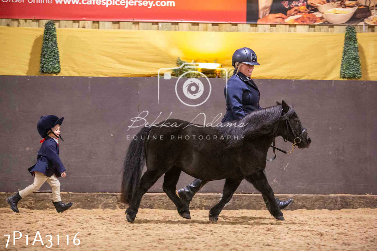 Home Farm Funshine Show 2024 - Inhand Showing 14th September