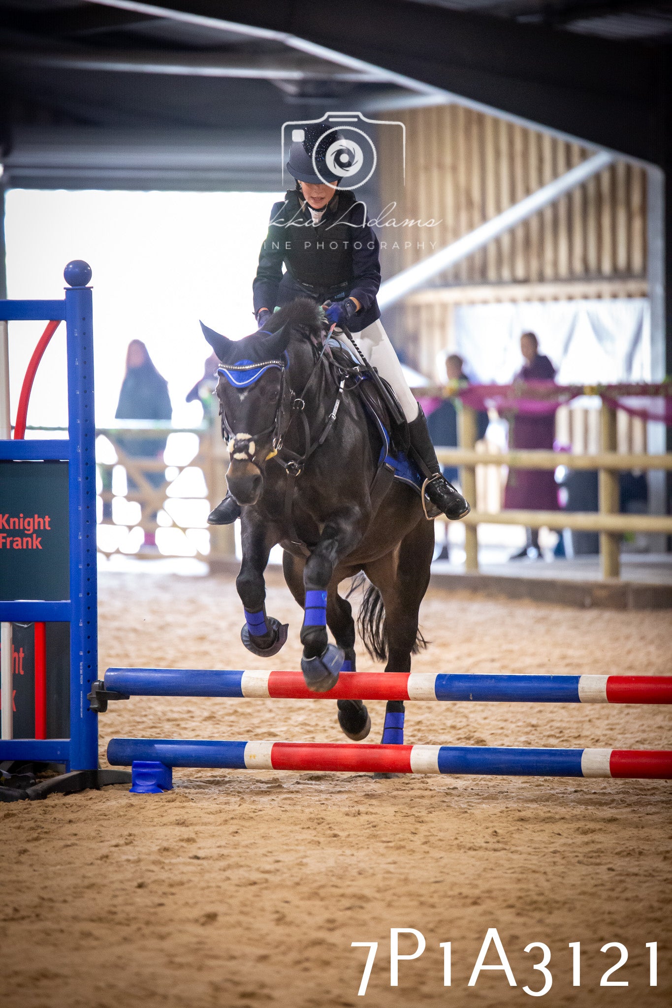 JHOYS 2025 - Junior Show Jumping - 21st September