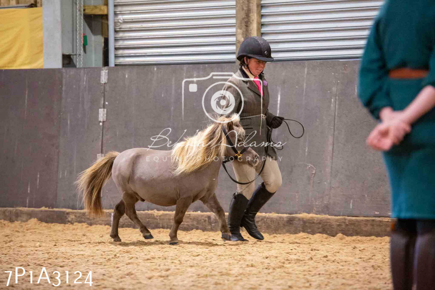 Home Farm Funshine Show 2024 - Inhand Showing 14th September