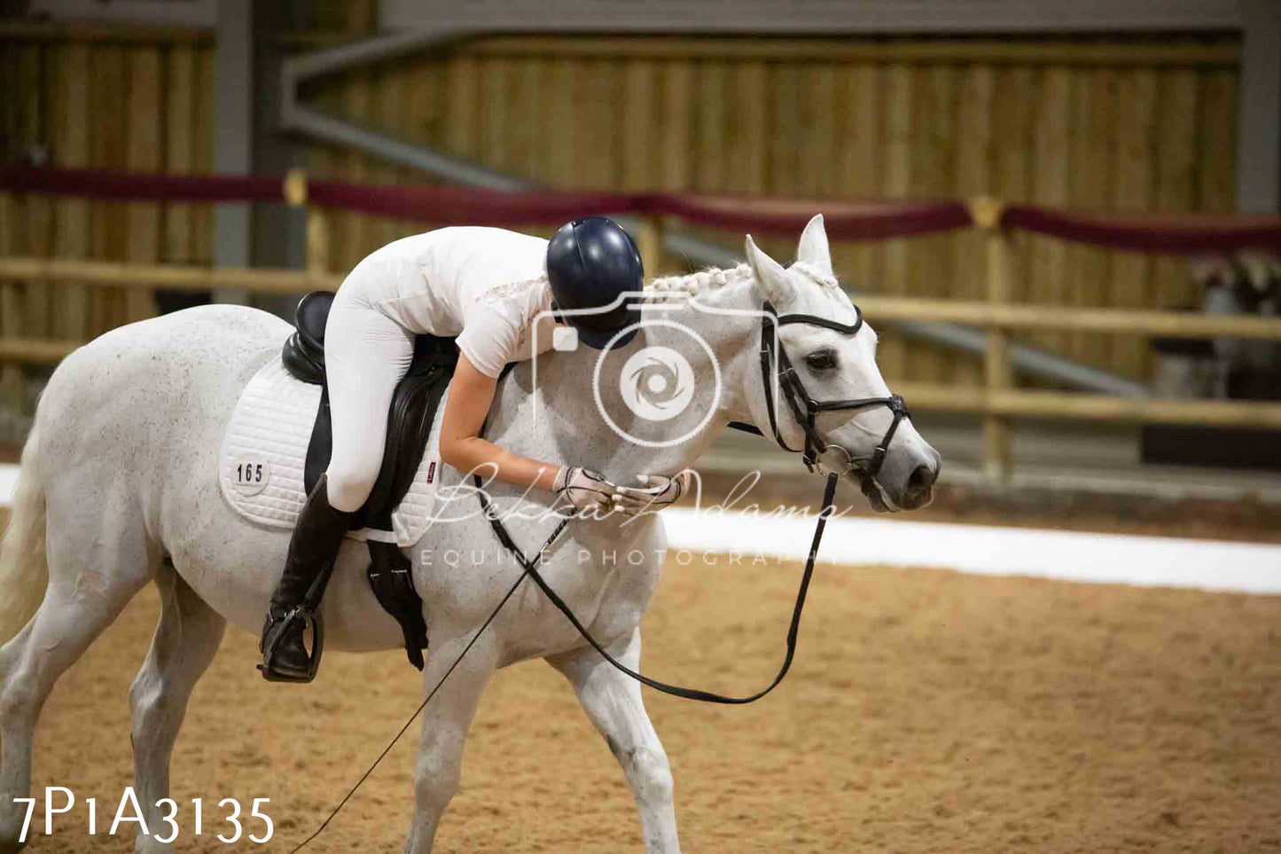 JHOYS 2023 - 7th Septemeber - Dressage