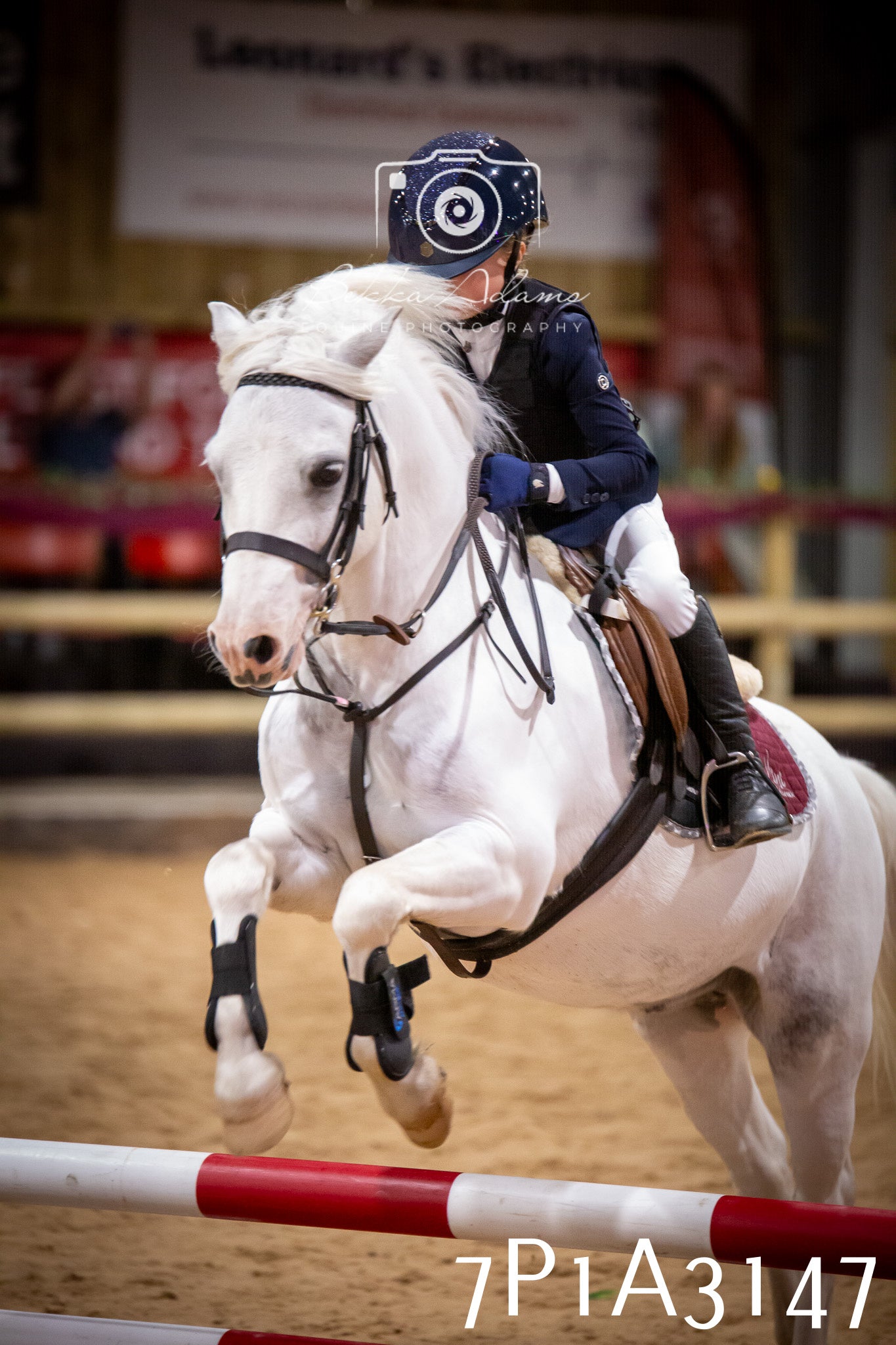 JHOYS 2025 - Junior Show Jumping - 21st September