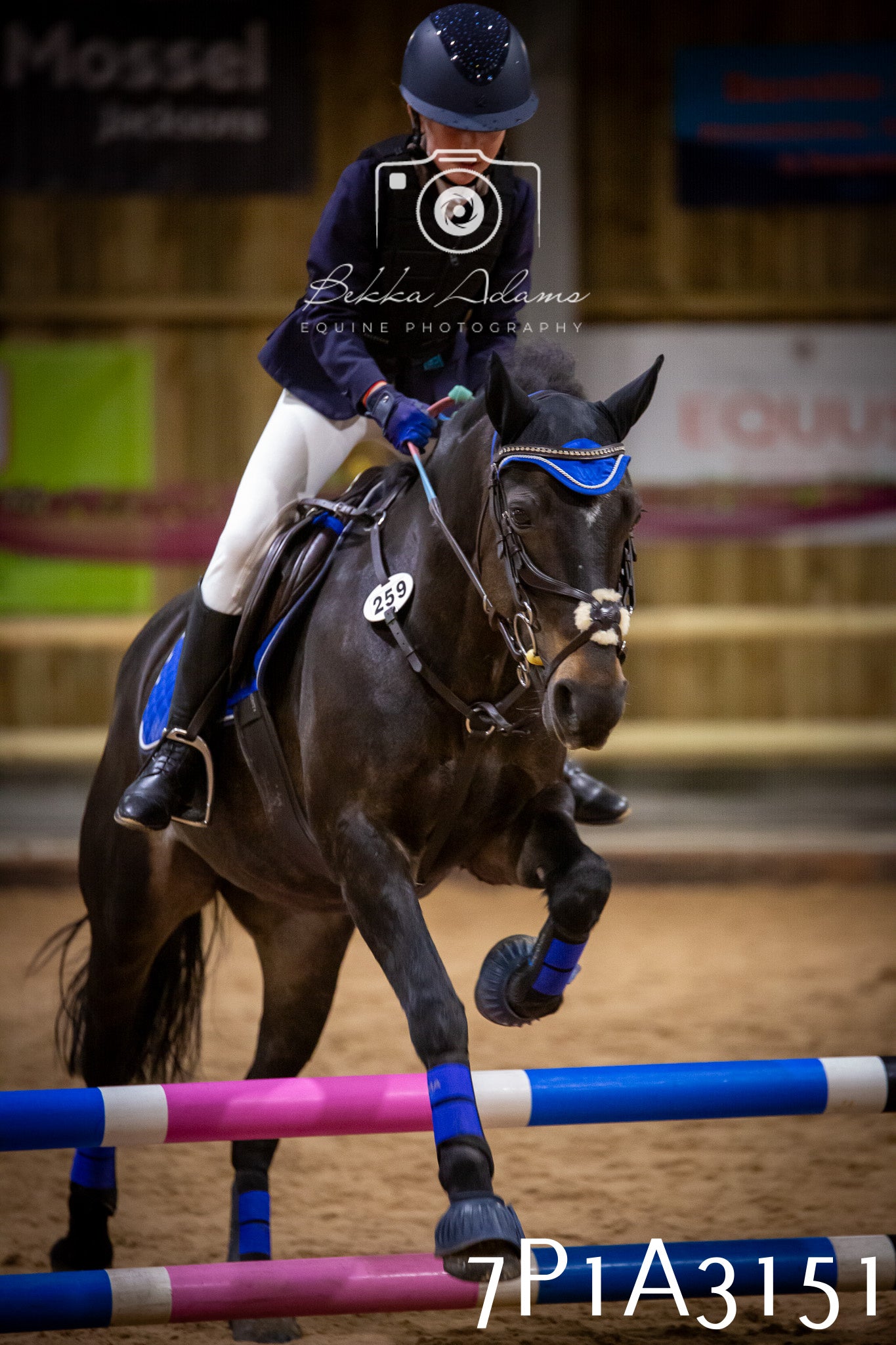 JHOYS 2025 - Junior Show Jumping - 21st September