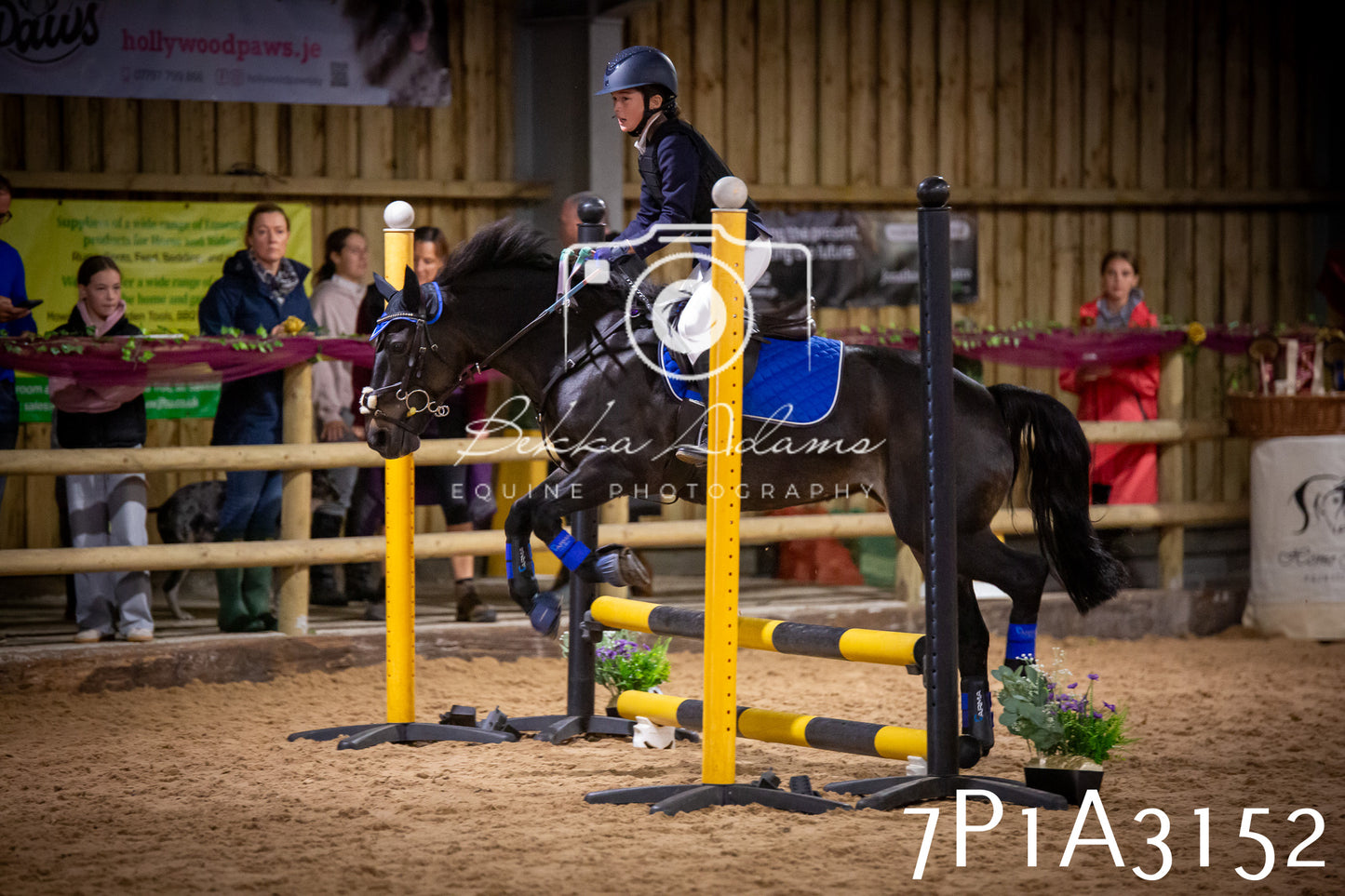 JHOYS 2025 - Junior Show Jumping - 21st September