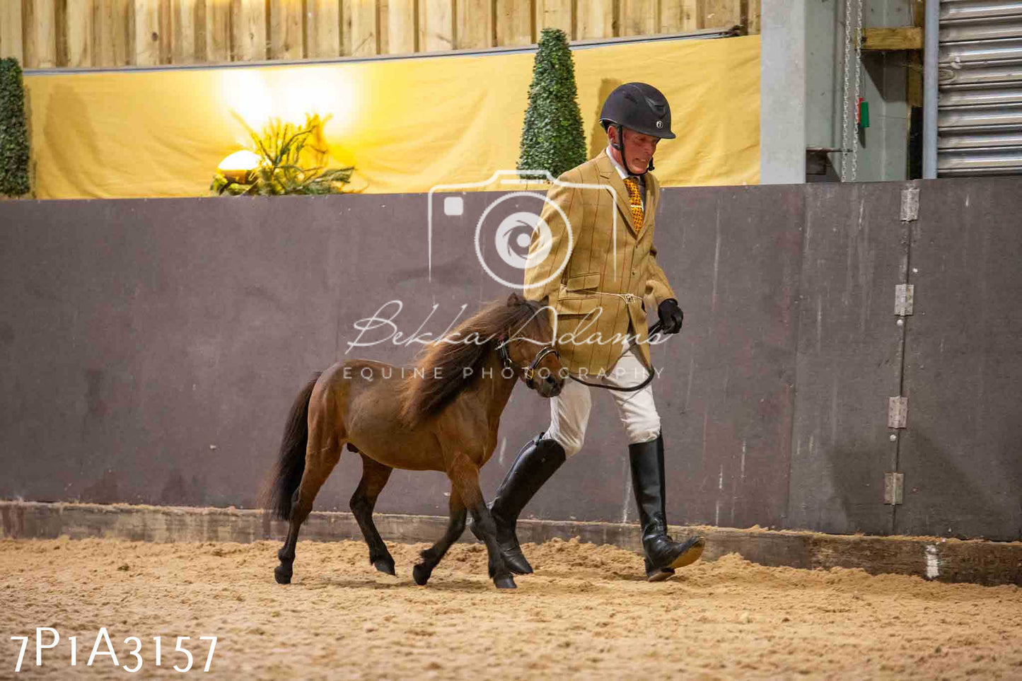Home Farm Funshine Show 2024 - Inhand Showing 14th September
