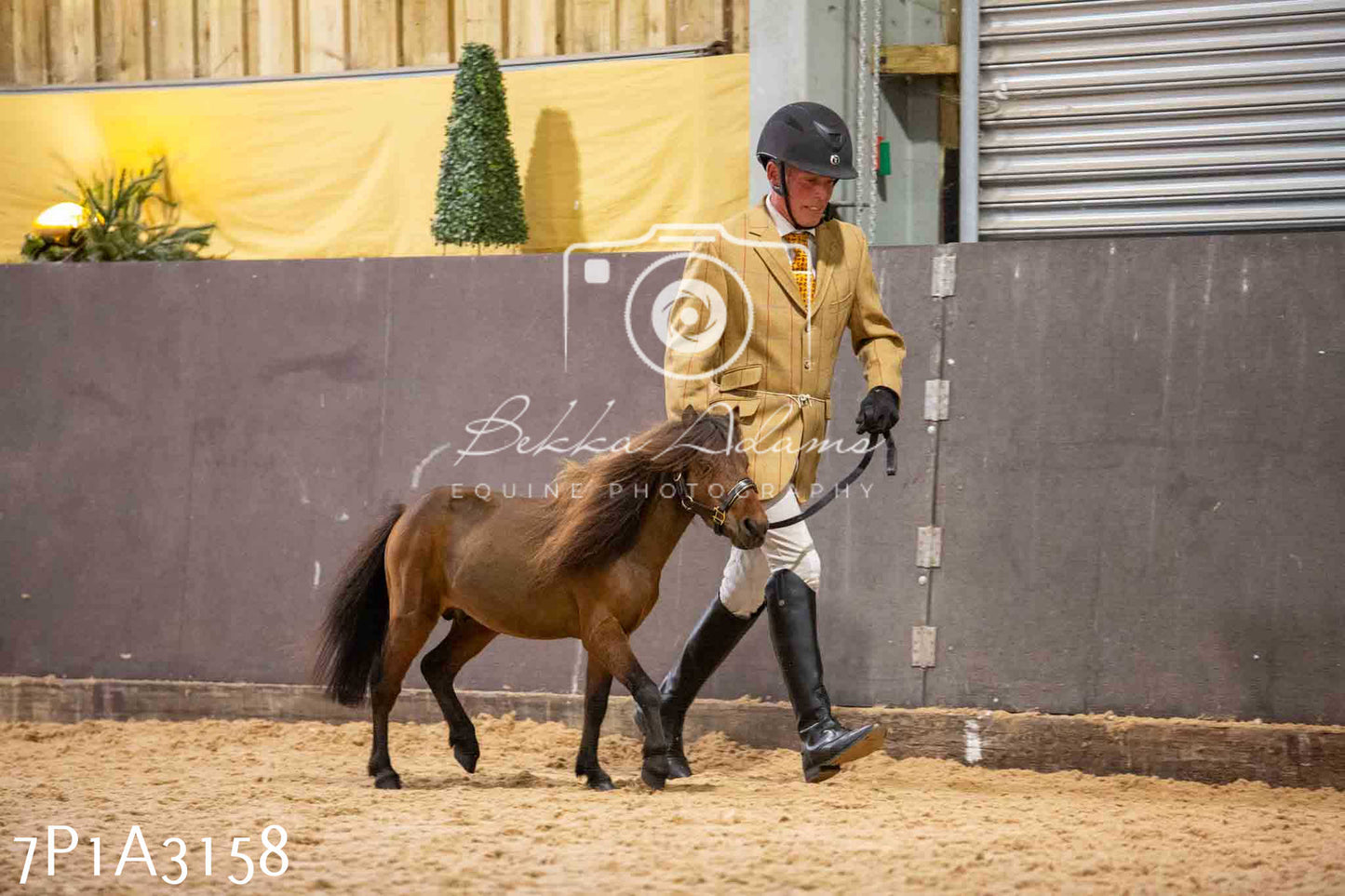 Home Farm Funshine Show 2024 - Inhand Showing 14th September