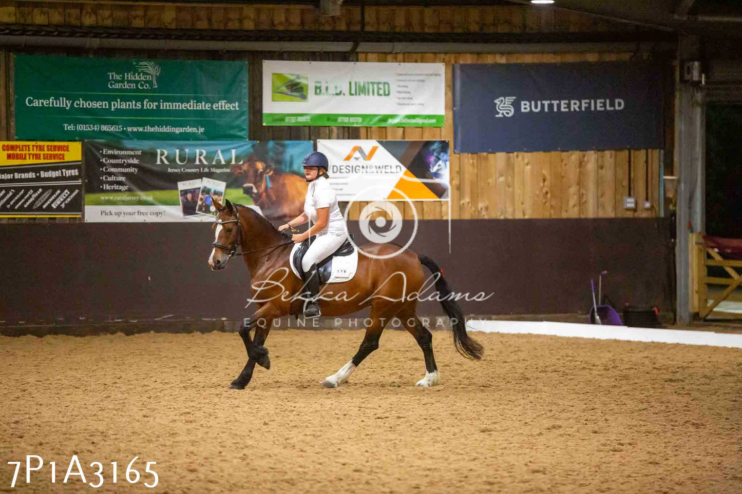 JHOYS 2023 - 7th Septemeber - Dressage