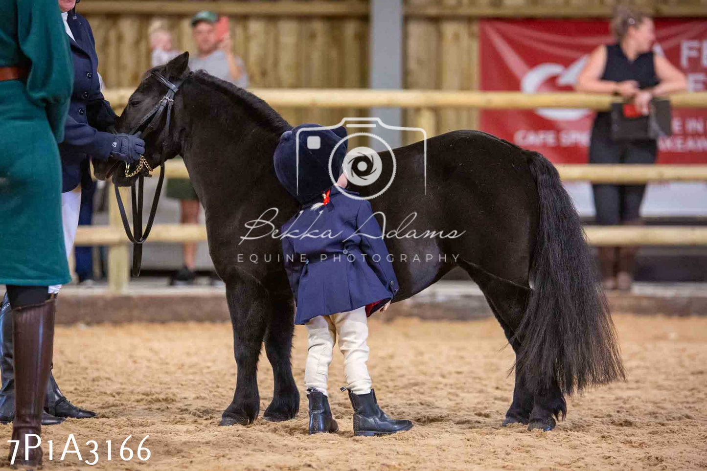 Home Farm Funshine Show 2024 - Inhand Showing 14th September