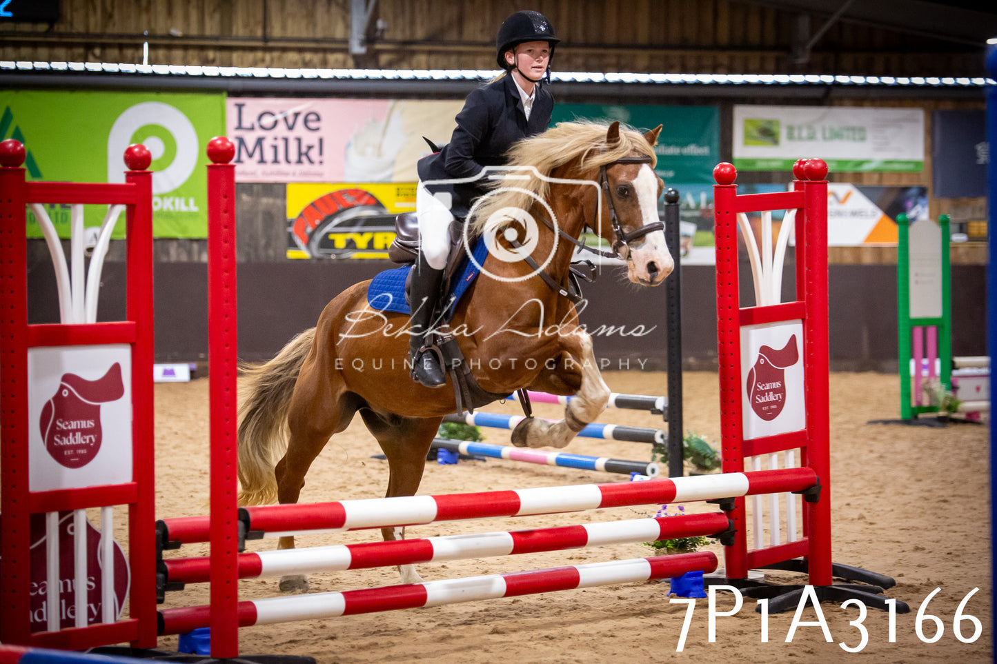 JHOYS 2025 - Junior Show Jumping - 21st September