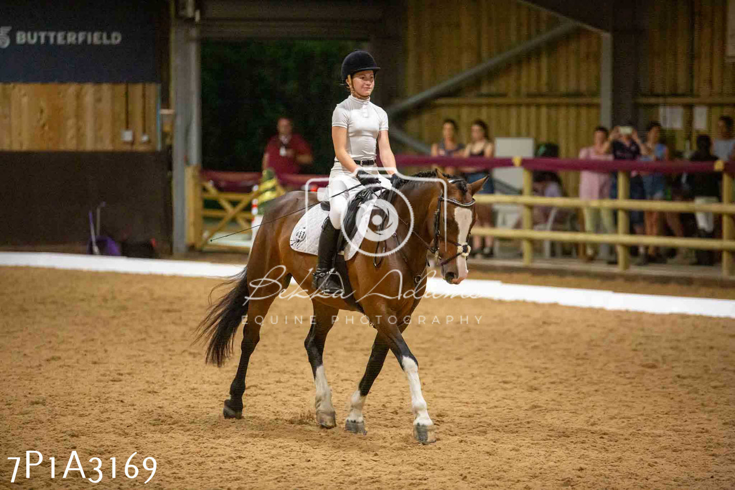 JHOYS 2023 - 7th Septemeber - Dressage