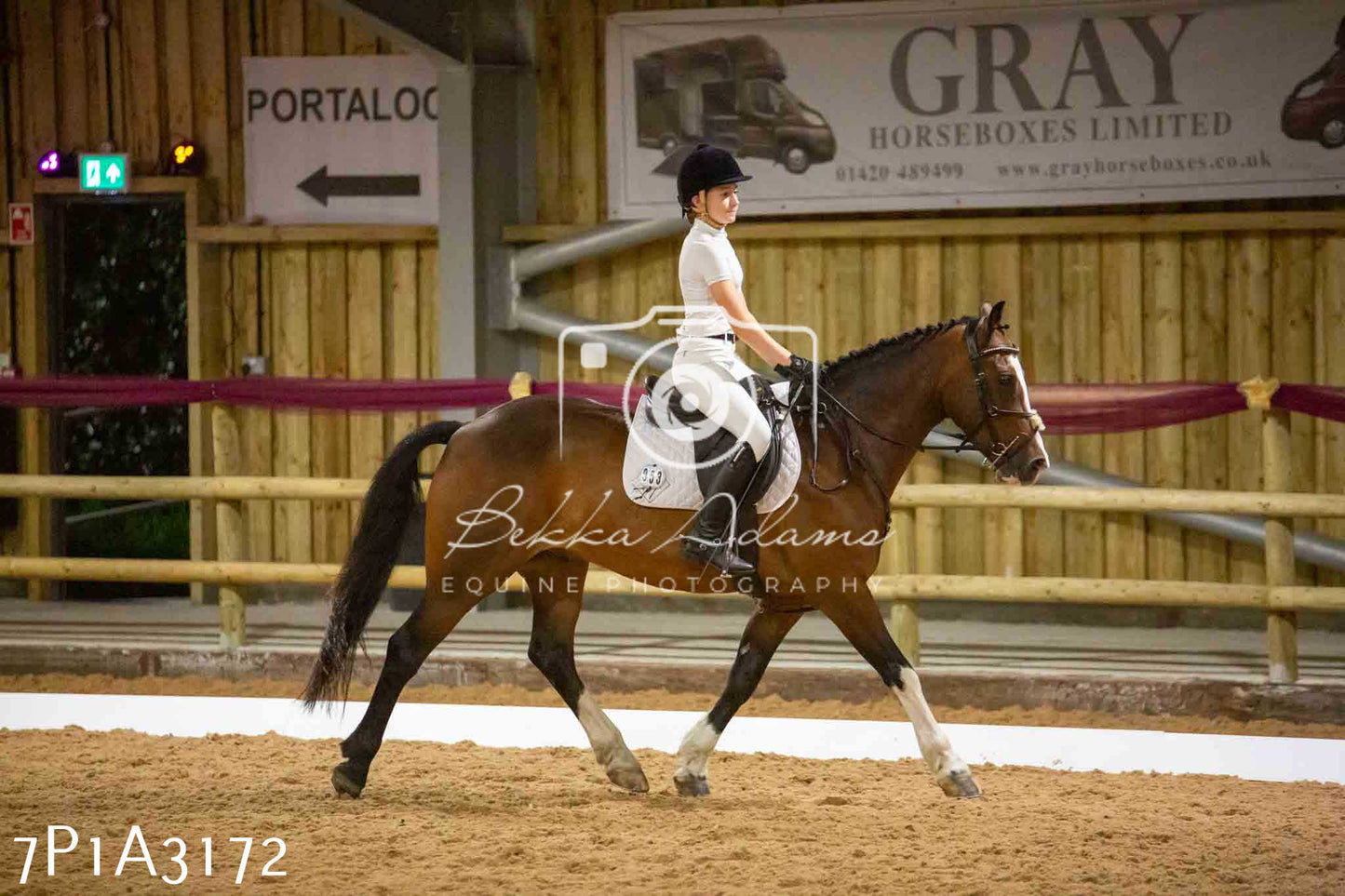 JHOYS 2023 - 7th Septemeber - Dressage