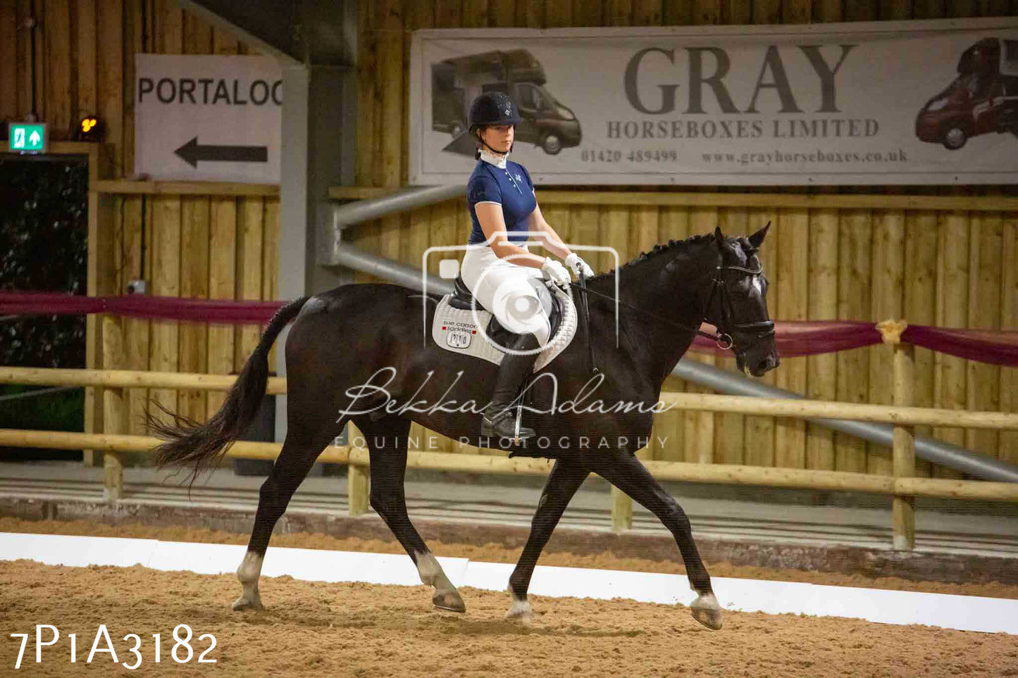 JHOYS 2023 - 7th Septemeber - Dressage
