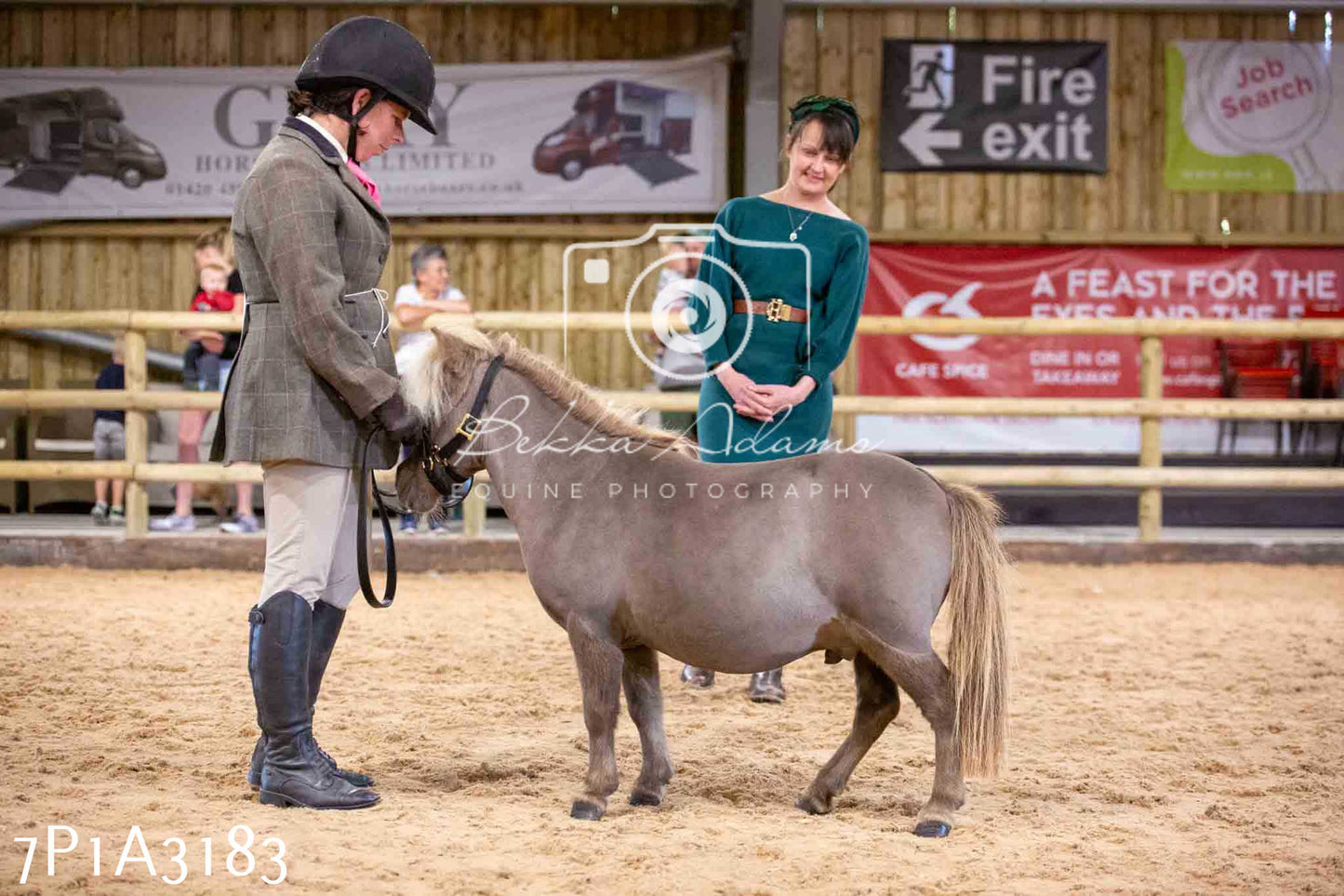 Home Farm Funshine Show 2024 - Inhand Showing 14th September