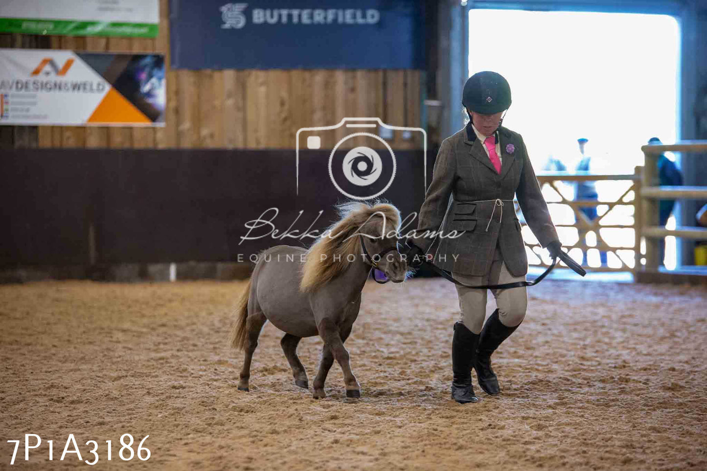 Home Farm Funshine Show 2024 - Inhand Showing 14th September