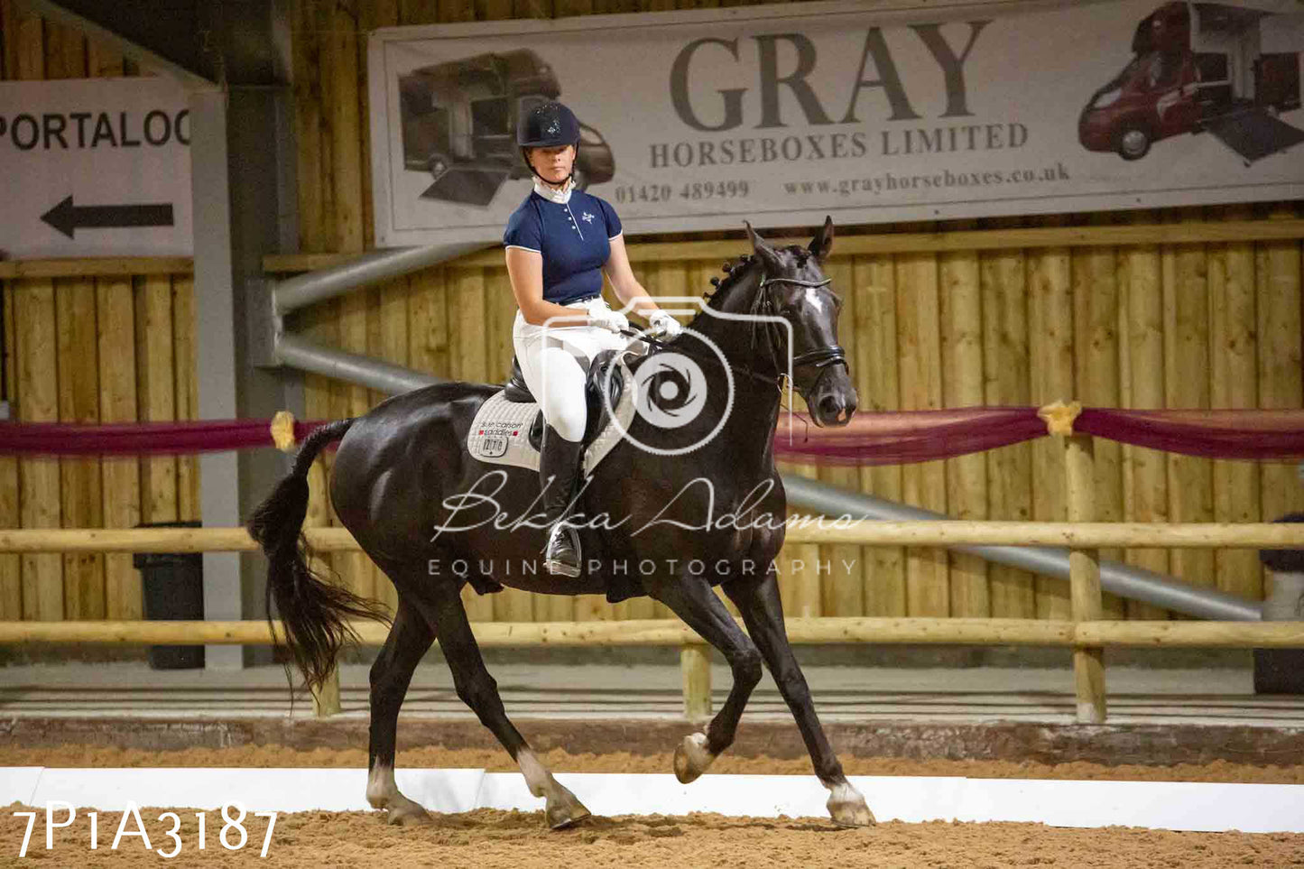 JHOYS 2023 - 7th Septemeber - Dressage