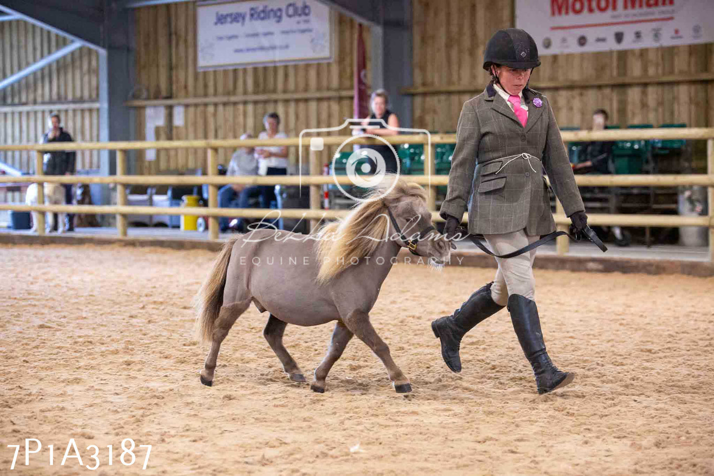 Home Farm Funshine Show 2024 - Inhand Showing 14th September