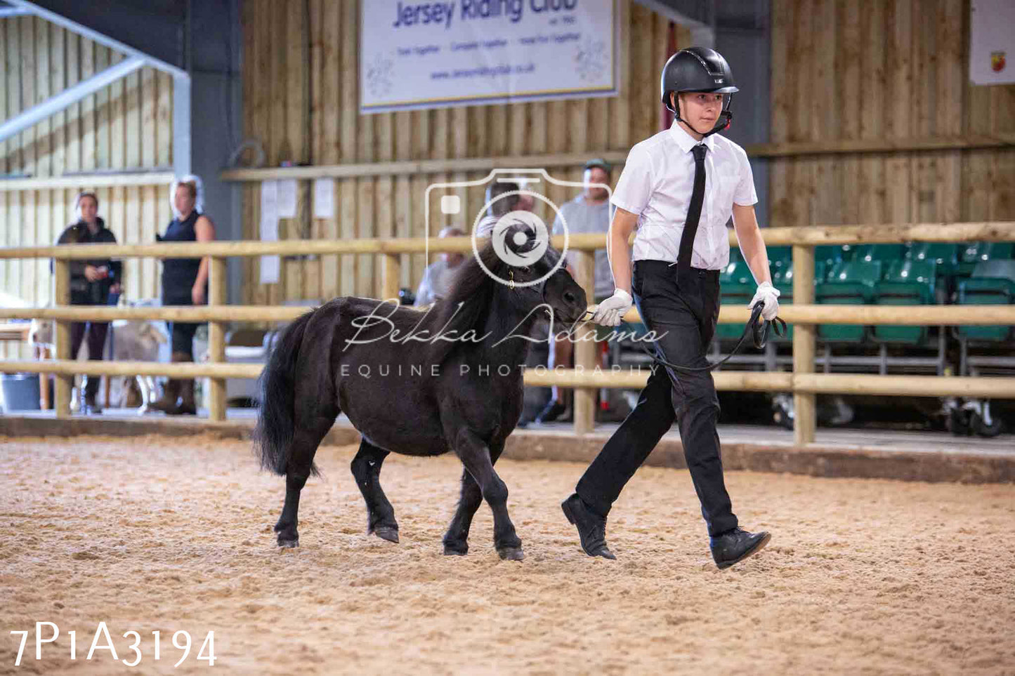 Home Farm Funshine Show 2024 - Inhand Showing 14th September