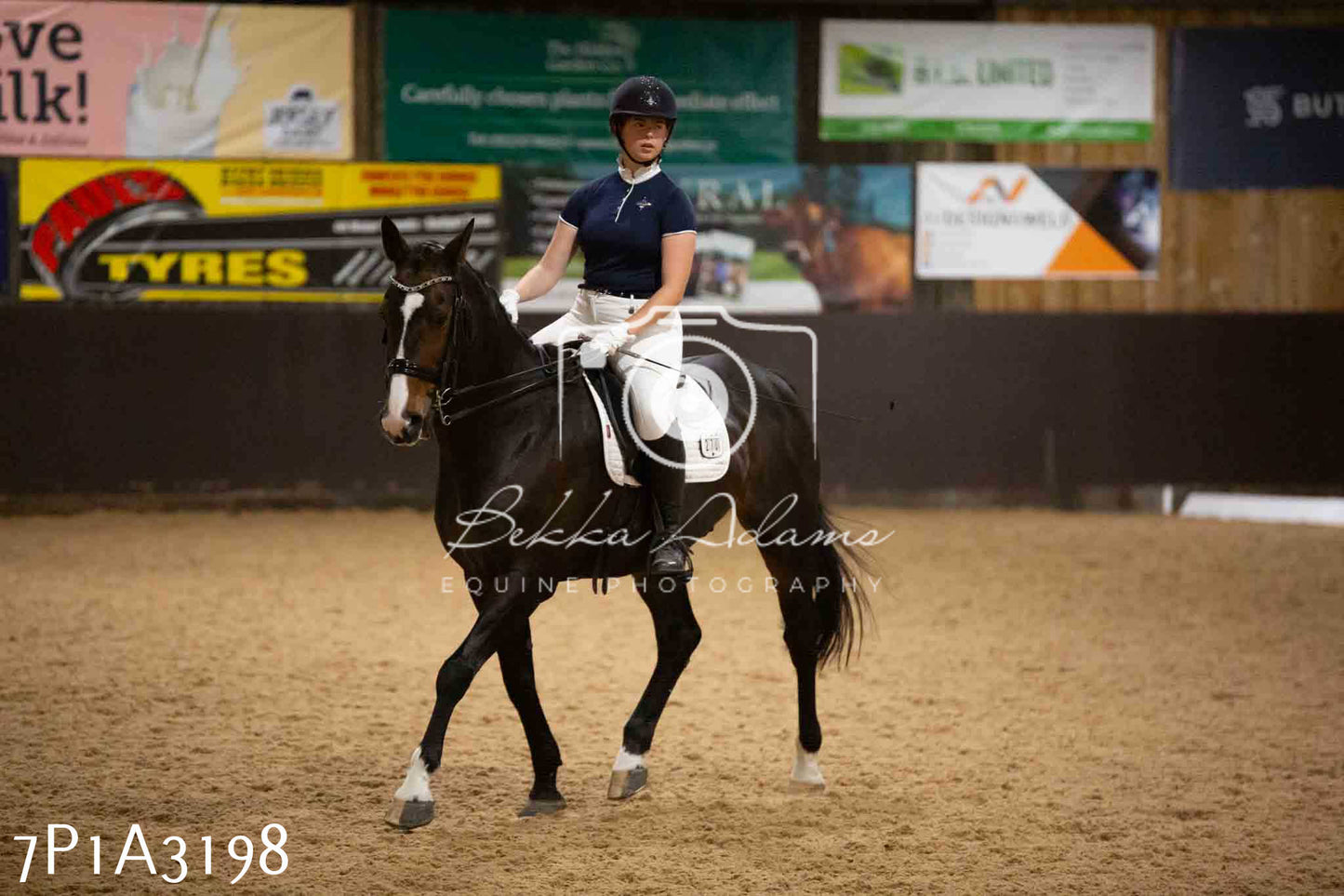 JHOYS 2023 - 7th Septemeber - Dressage
