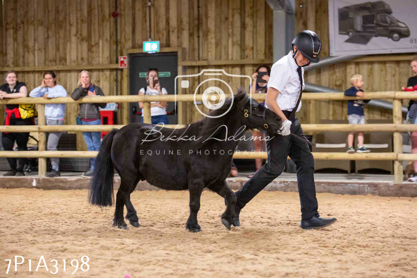 Home Farm Funshine Show 2024 - Inhand Showing 14th September