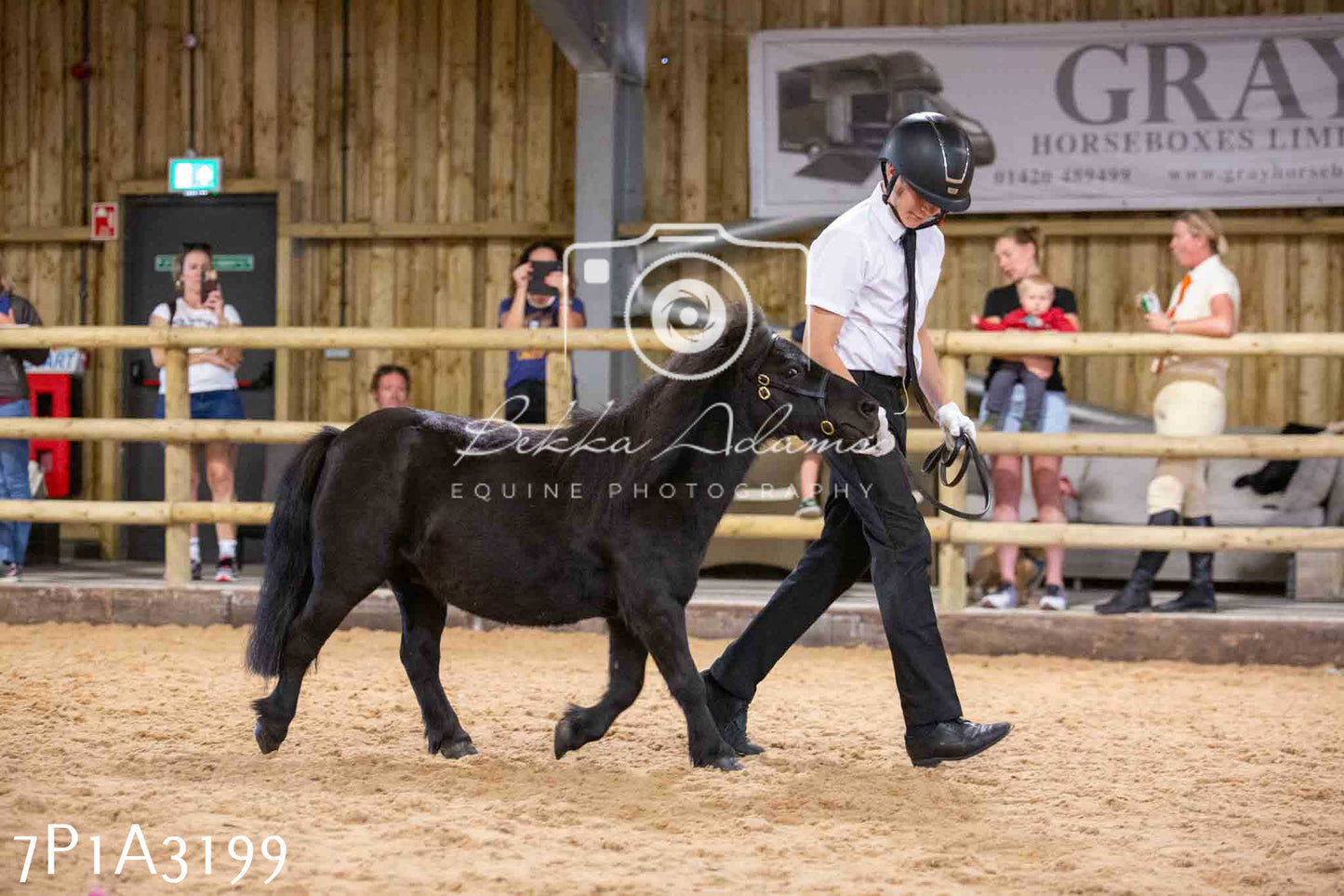 Home Farm Funshine Show 2024 - Inhand Showing 14th September