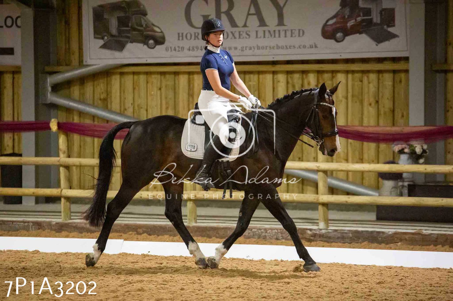 JHOYS 2023 - 7th Septemeber - Dressage