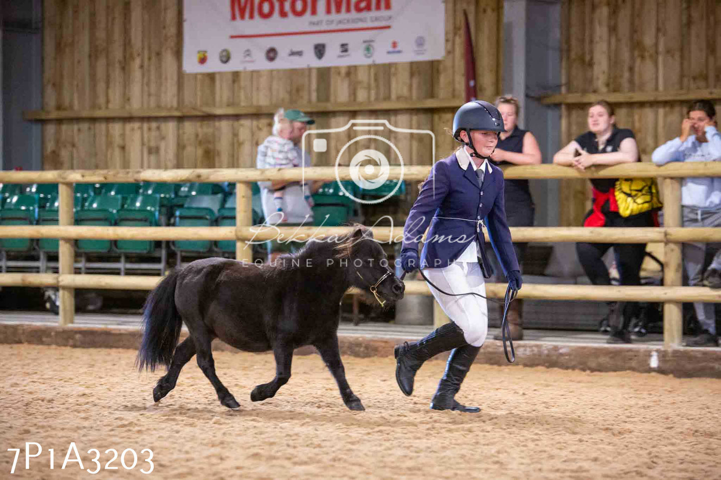 Home Farm Funshine Show 2024 - Inhand Showing 14th September