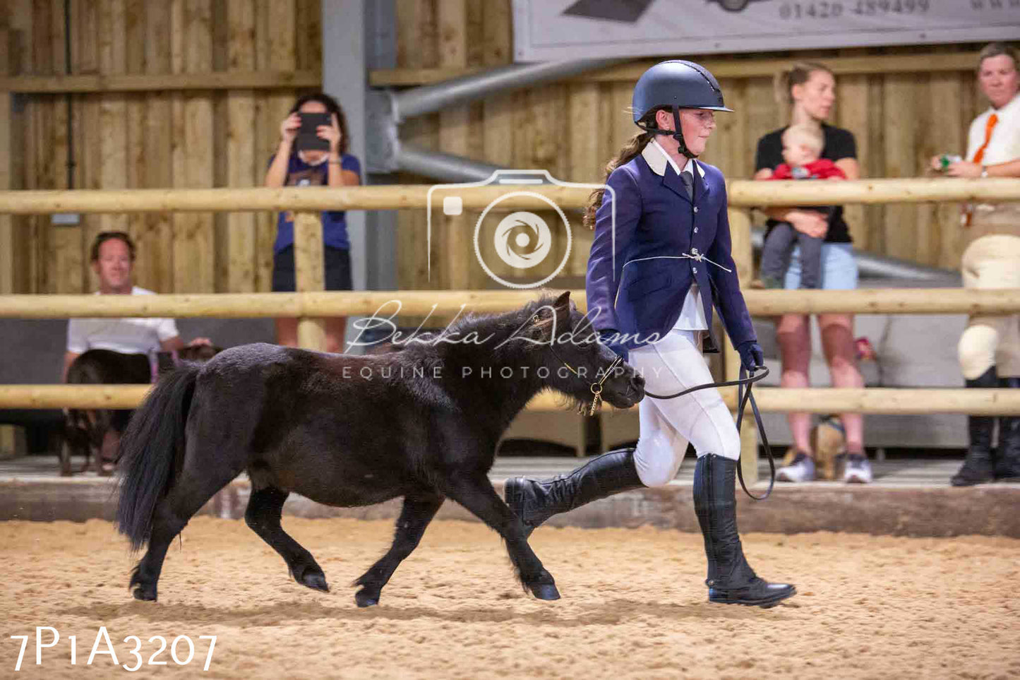 Home Farm Funshine Show 2024 - Inhand Showing 14th September