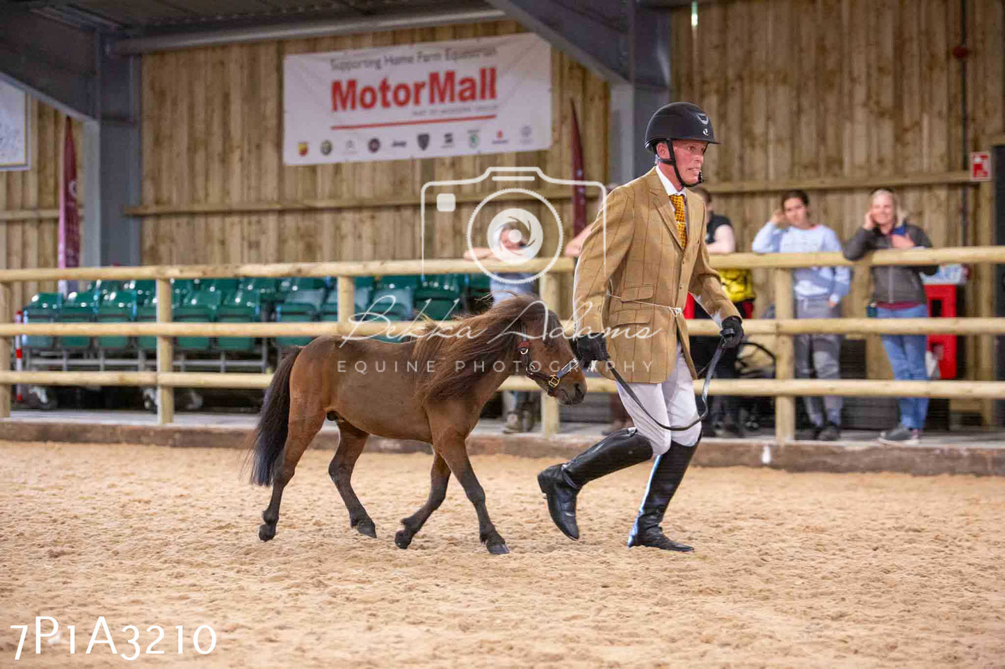 Home Farm Funshine Show 2024 - Inhand Showing 14th September