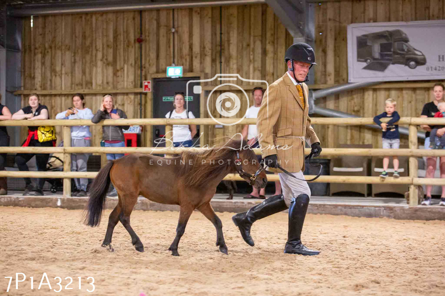 Home Farm Funshine Show 2024 - Inhand Showing 14th September