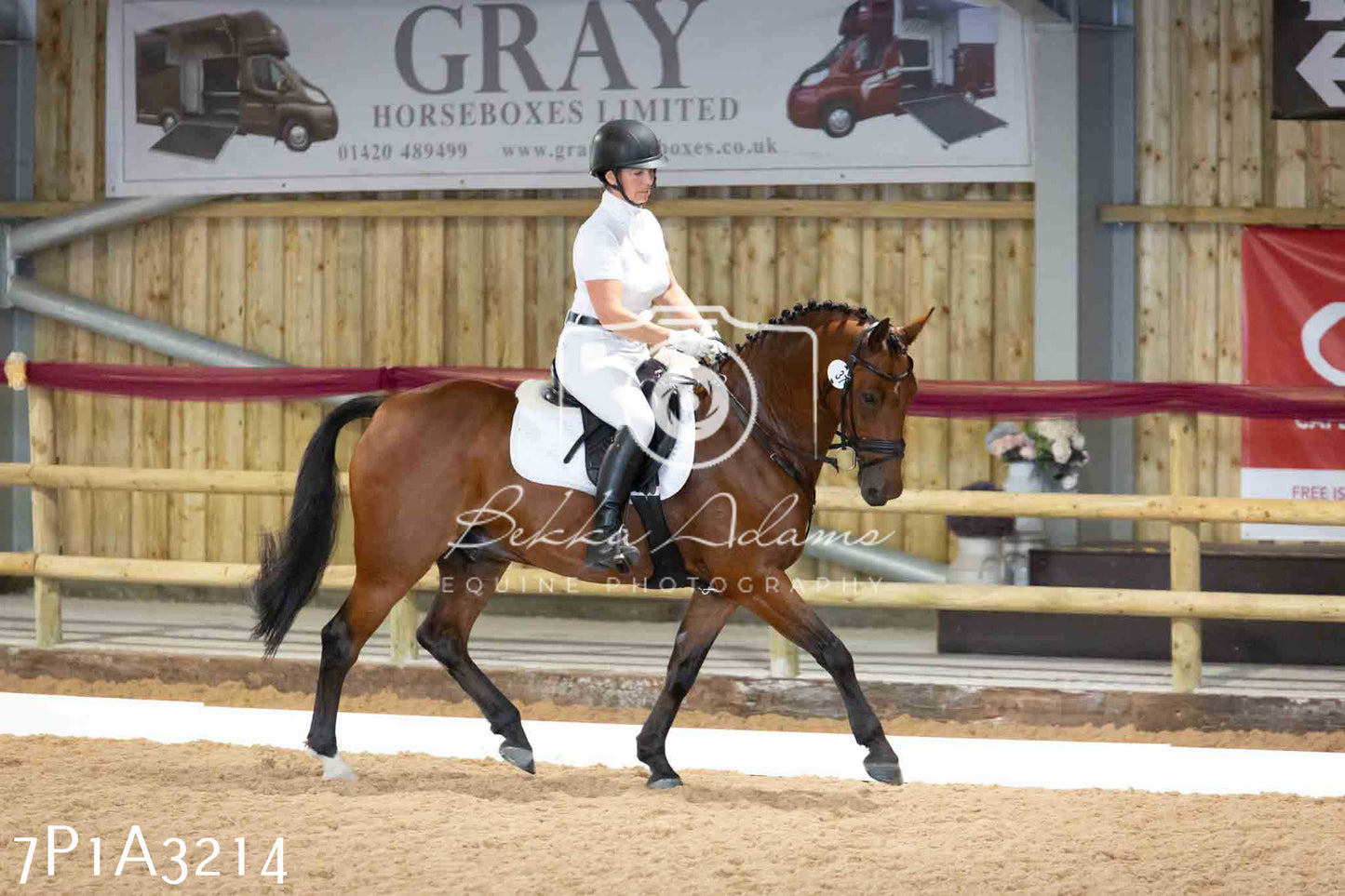 JHOYS 2023 - 8th September - Dressage