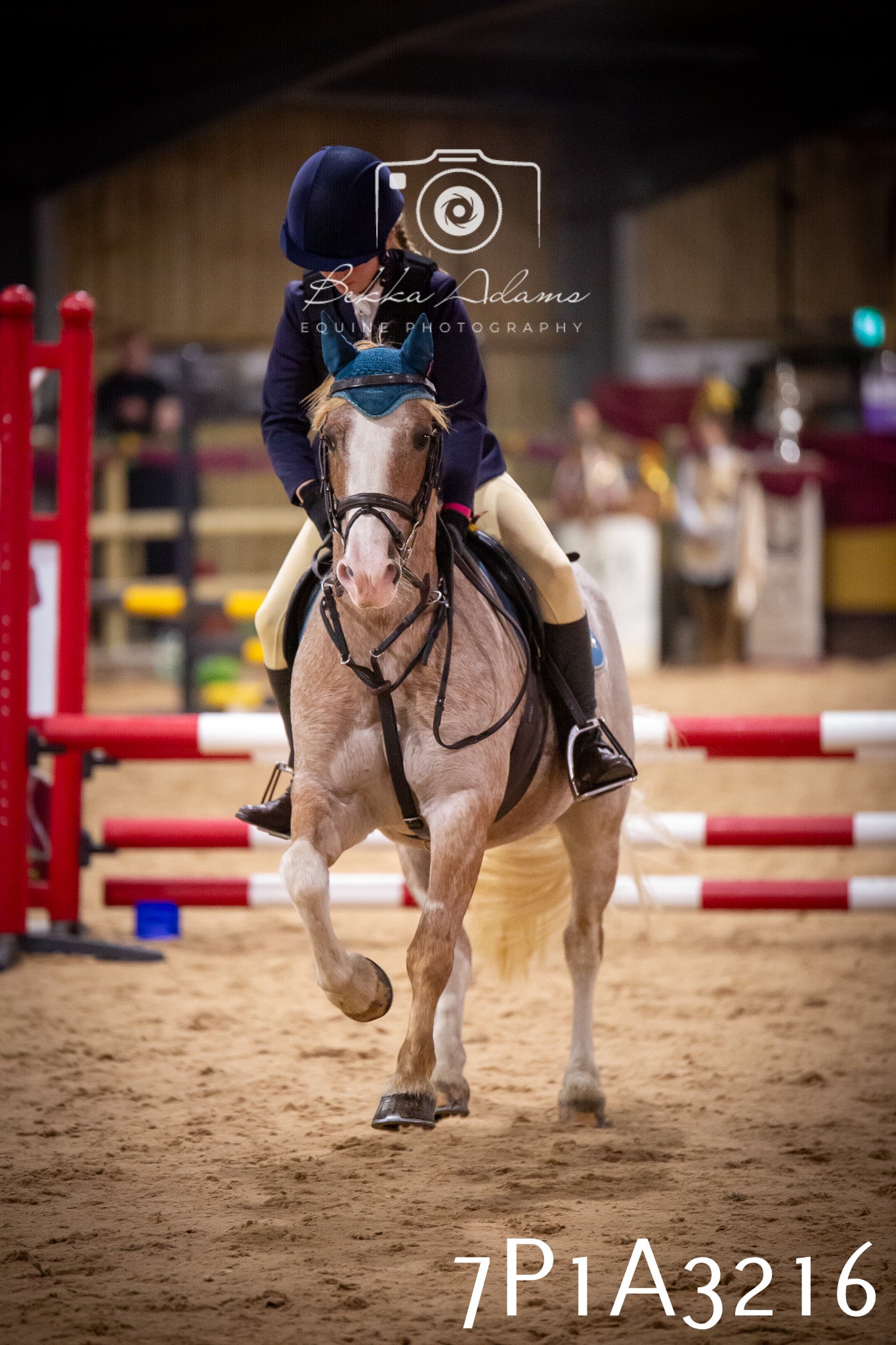JHOYS 2025 - Junior Show Jumping - 21st September