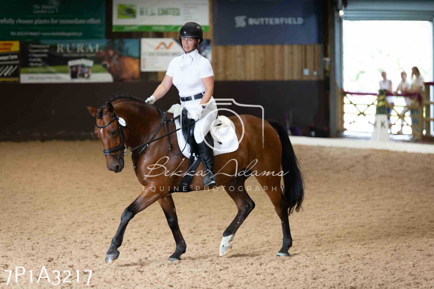 JHOYS 2023 - 8th September - Dressage