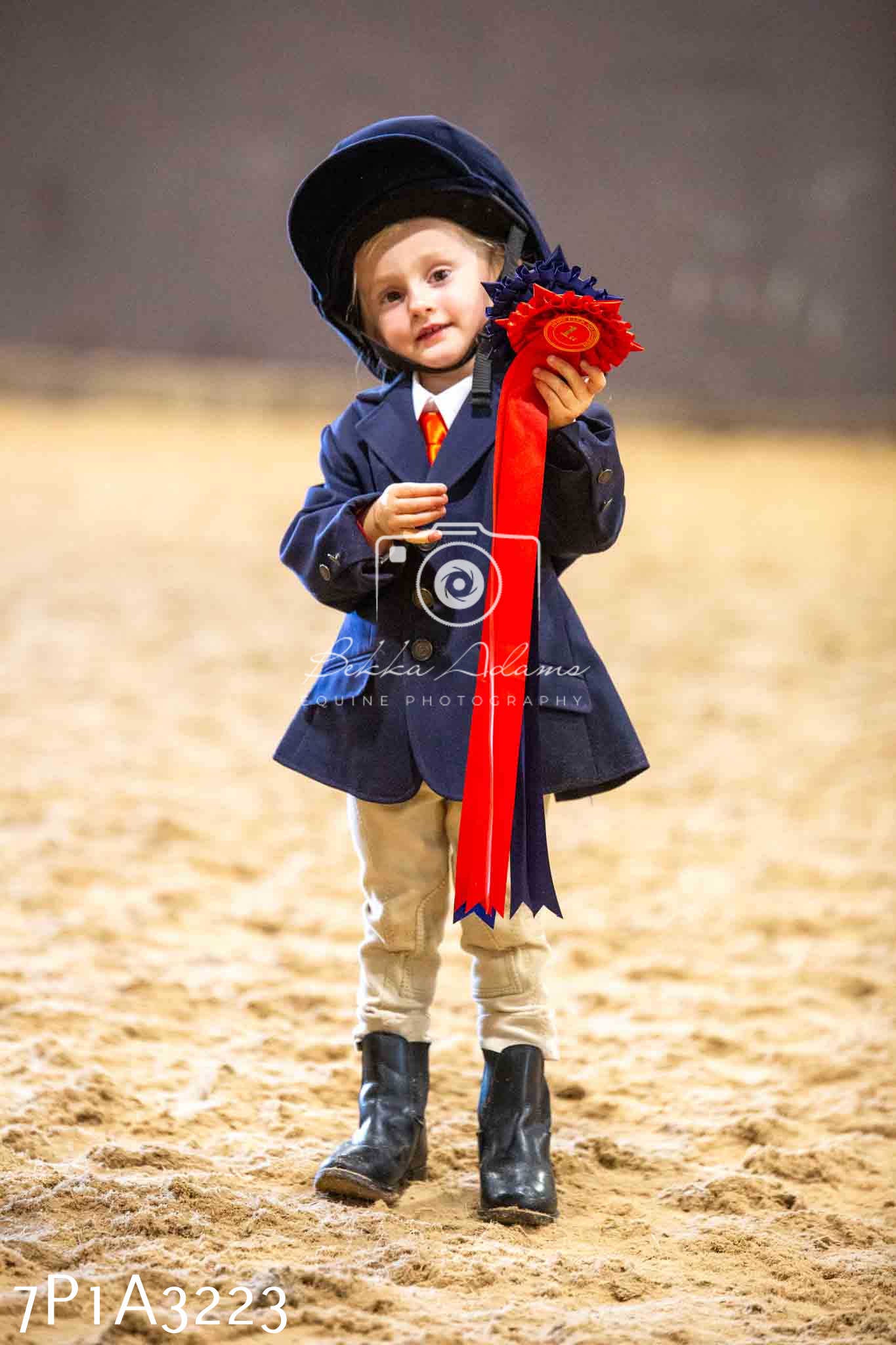 Home Farm Funshine Show 2024 - Inhand Showing 14th September