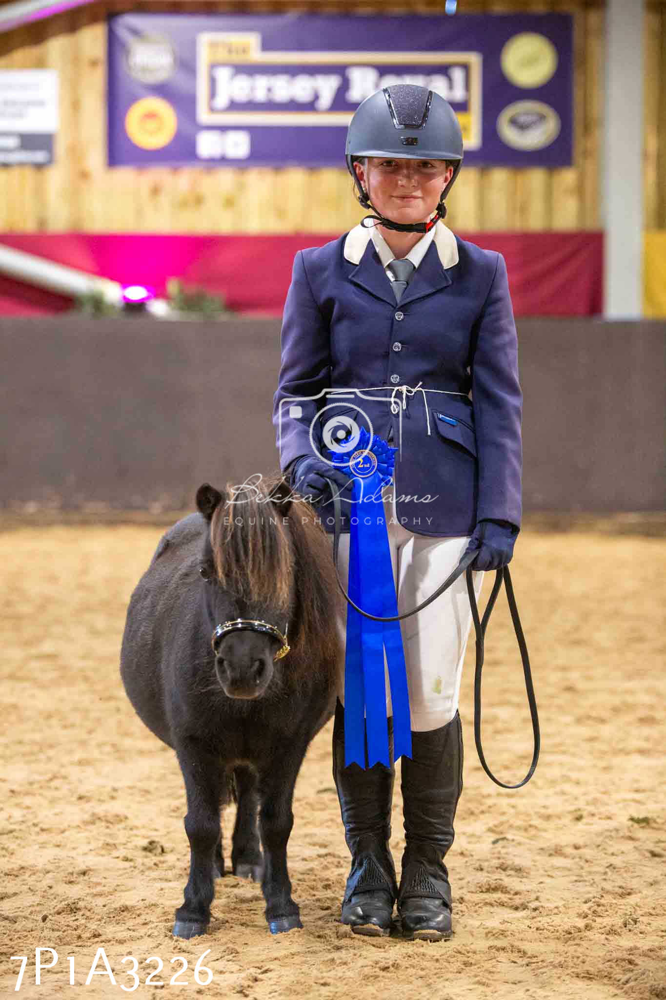 Home Farm Funshine Show 2024 - Inhand Showing 14th September
