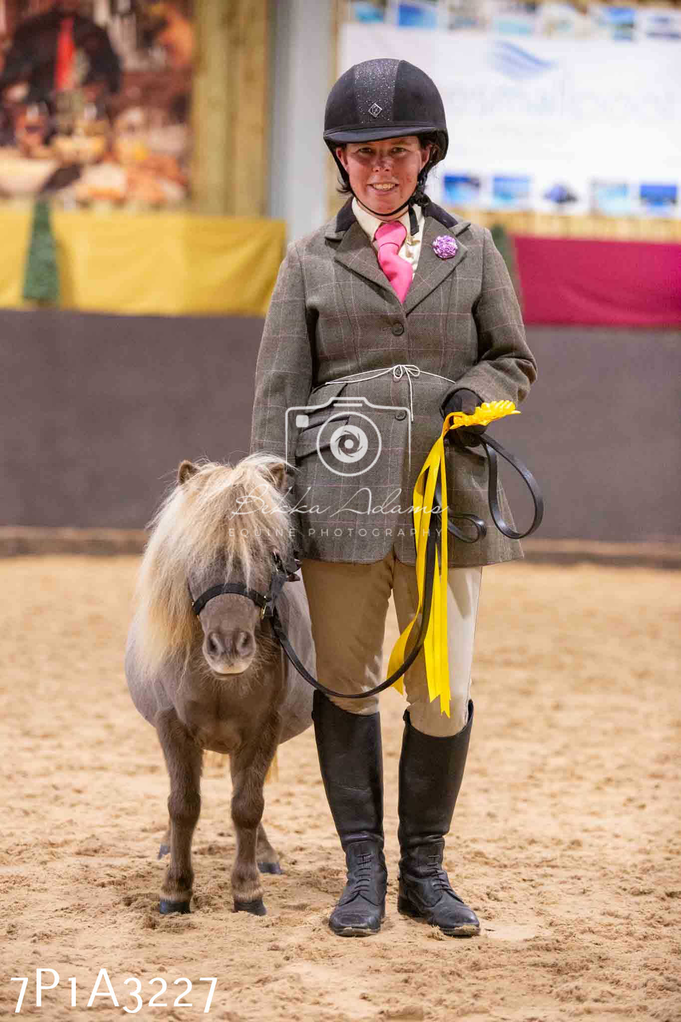 Home Farm Funshine Show 2024 - Inhand Showing 14th September