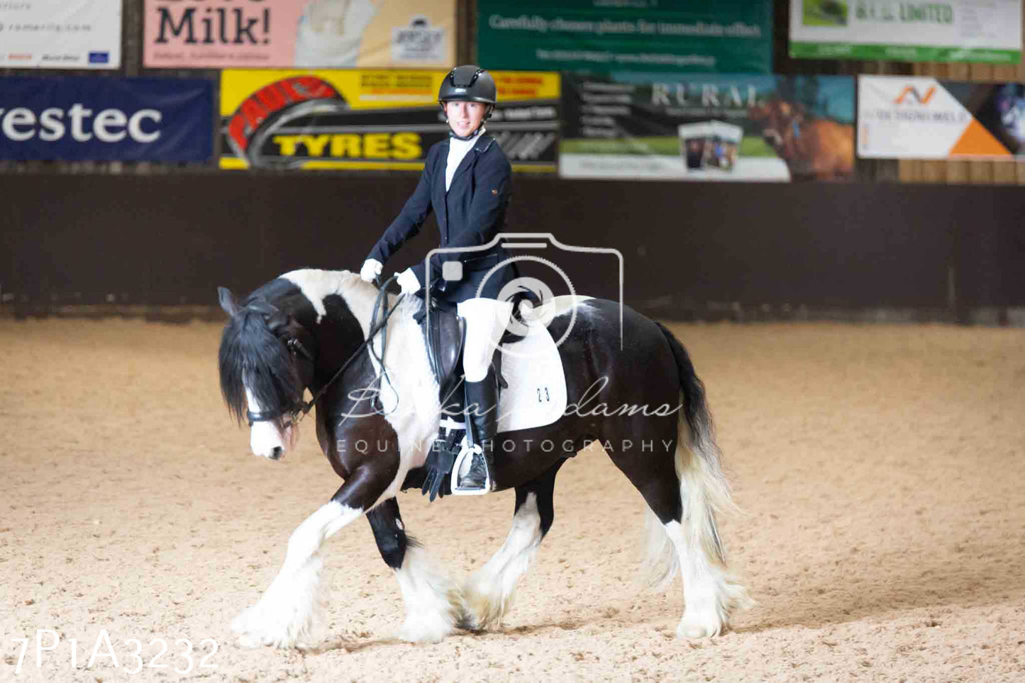 JHOYS 2023 - 8th September - Dressage