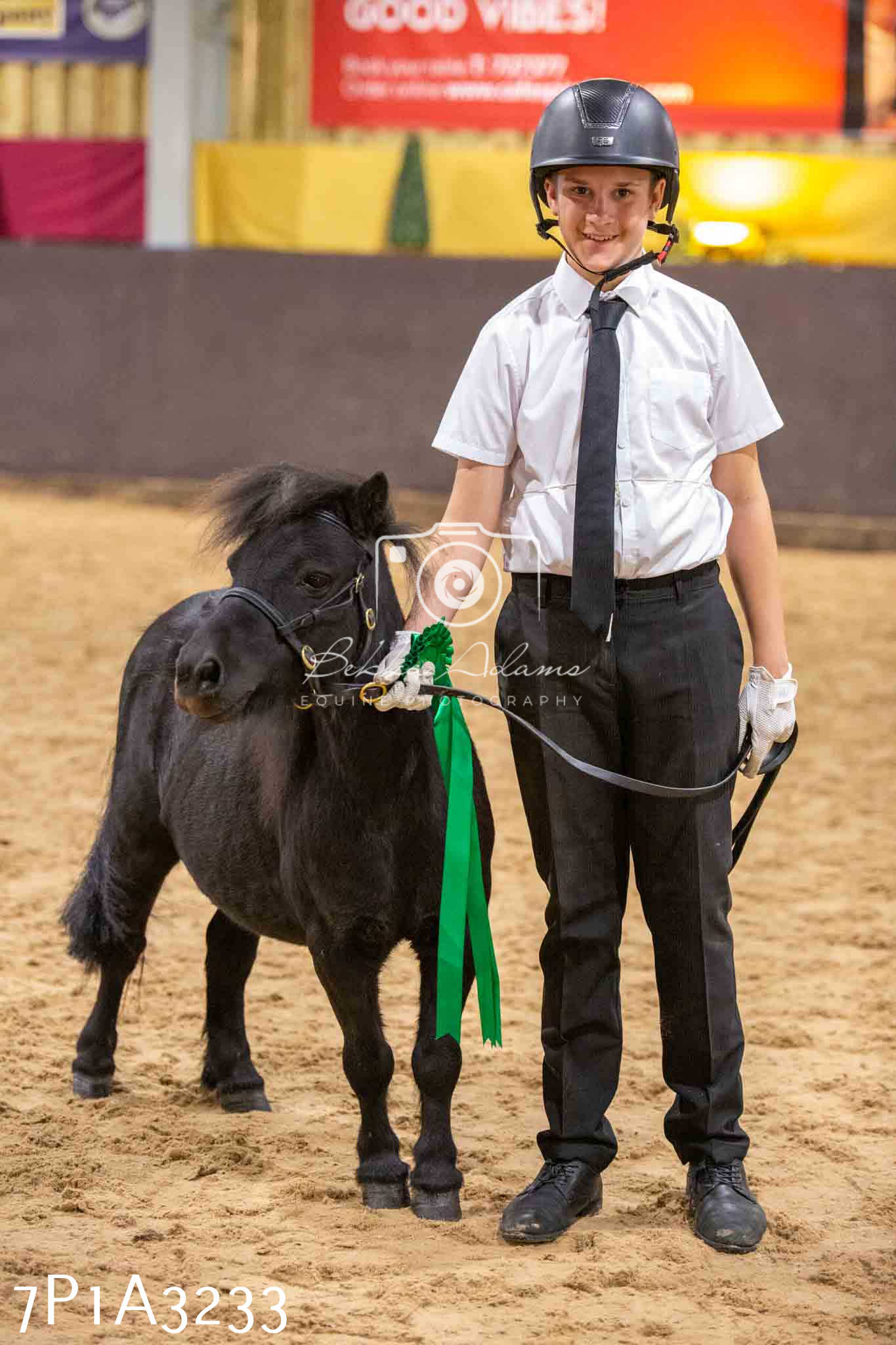 Home Farm Funshine Show 2024 - Inhand Showing 14th September