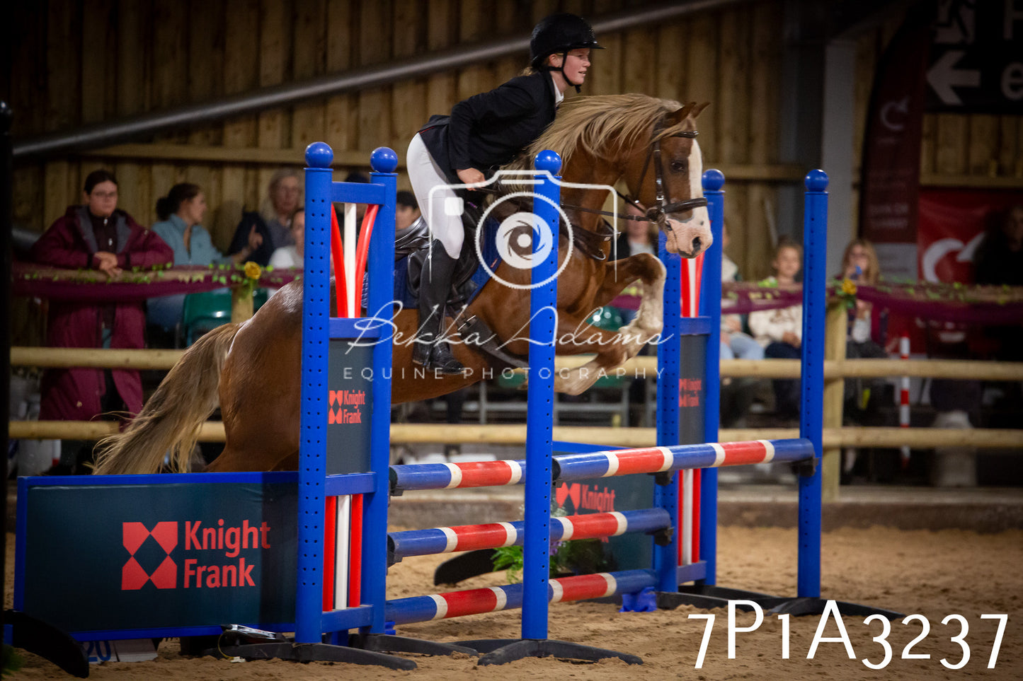JHOYS 2025 - Junior Show Jumping - 21st September