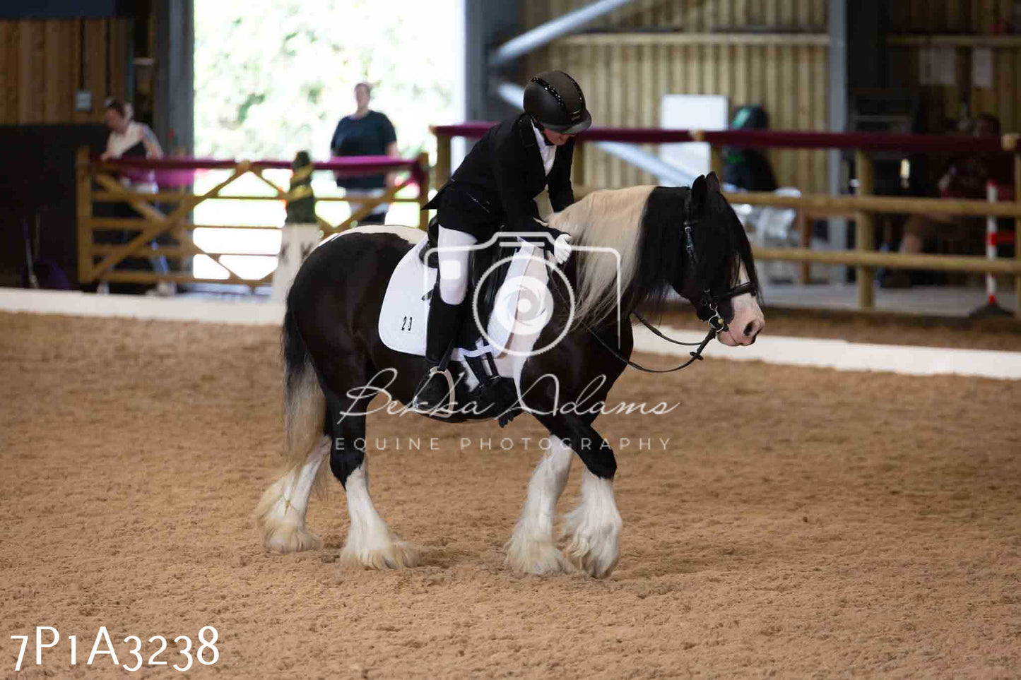 JHOYS 2023 - 8th September - Dressage