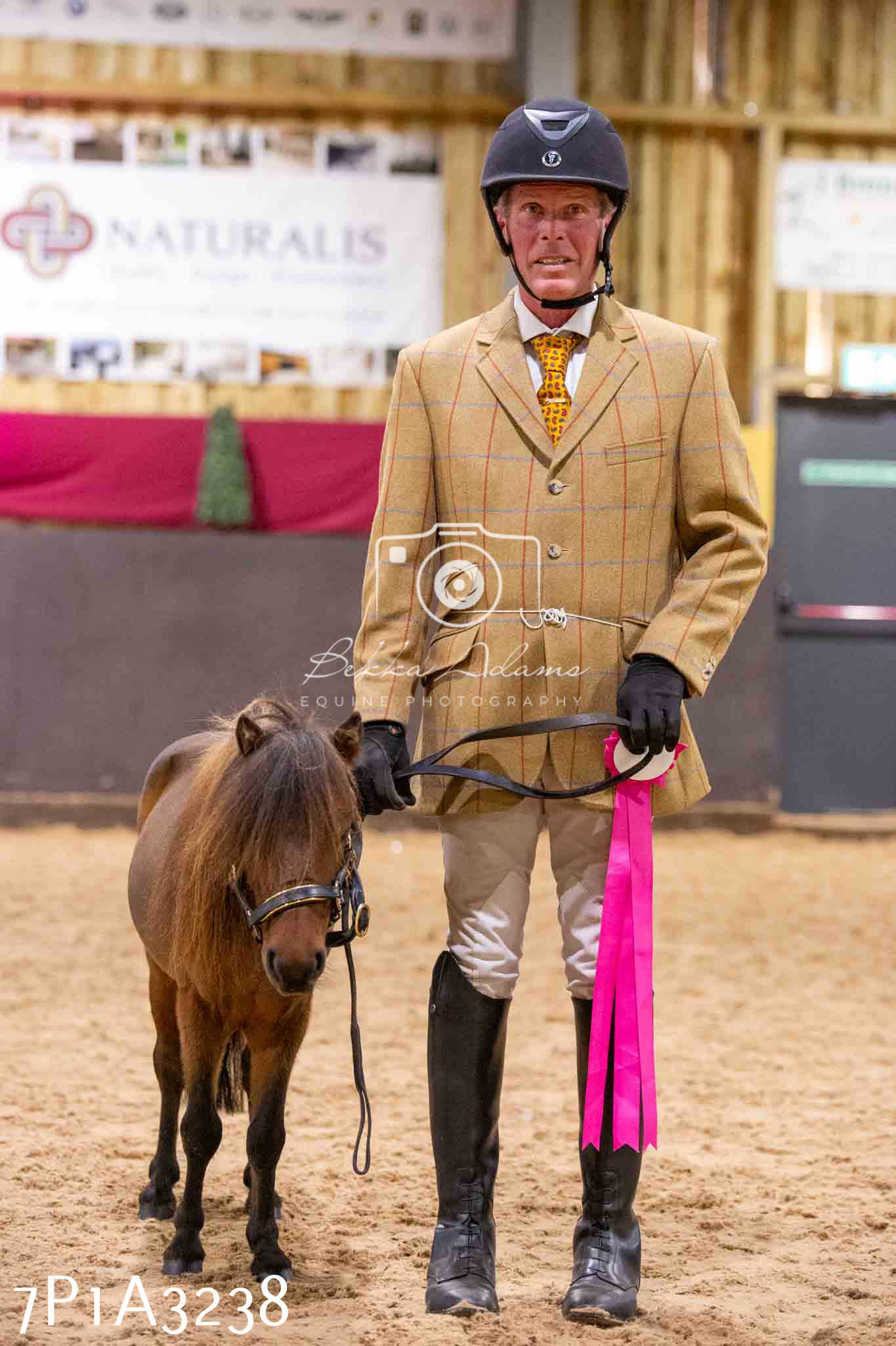 Home Farm Funshine Show 2024 - Inhand Showing 14th September